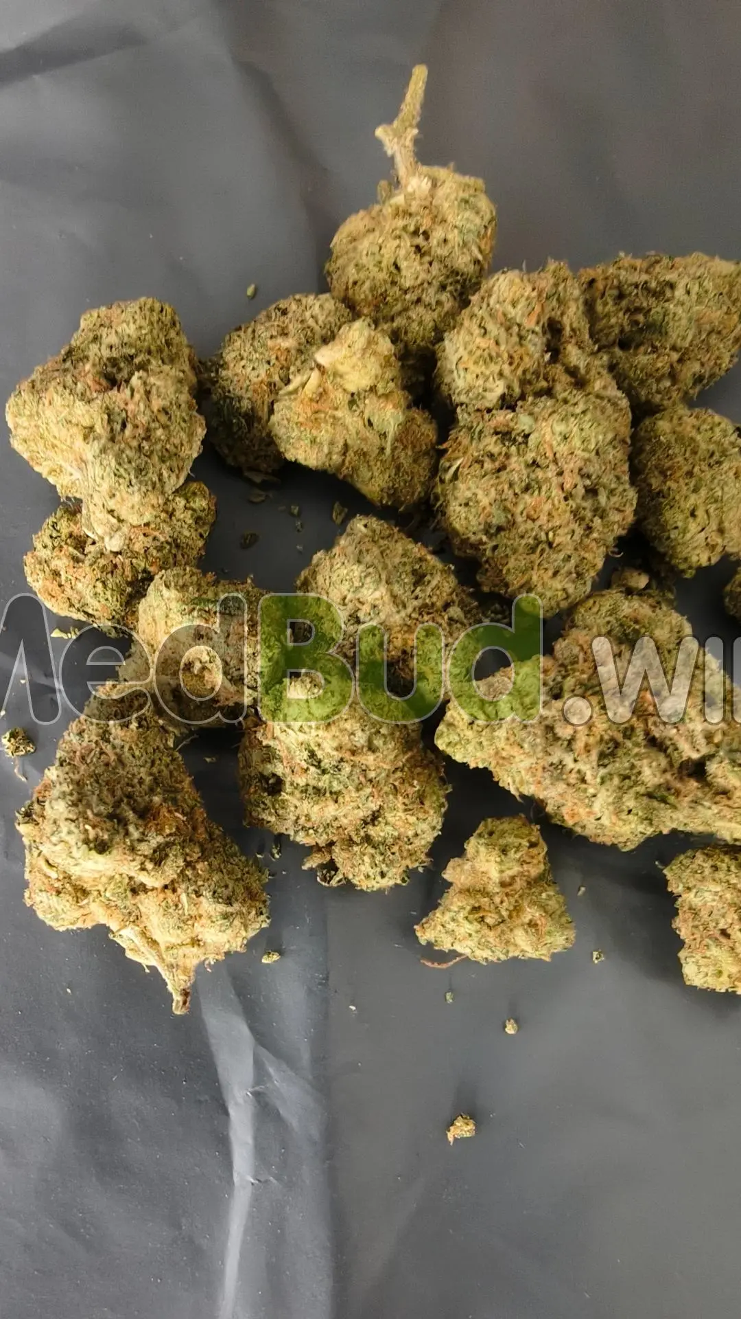 Britz product photo