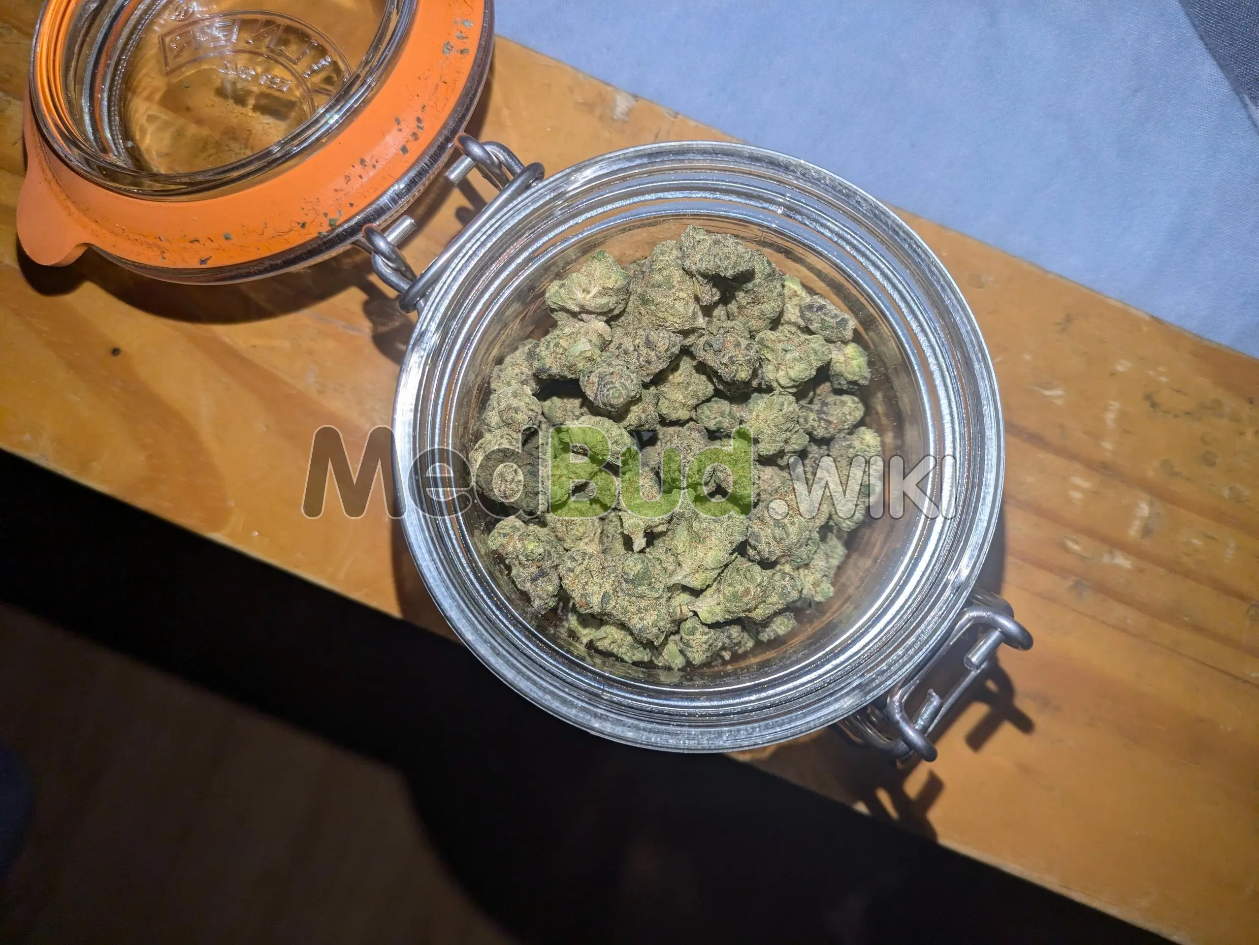 Gelatti product photo