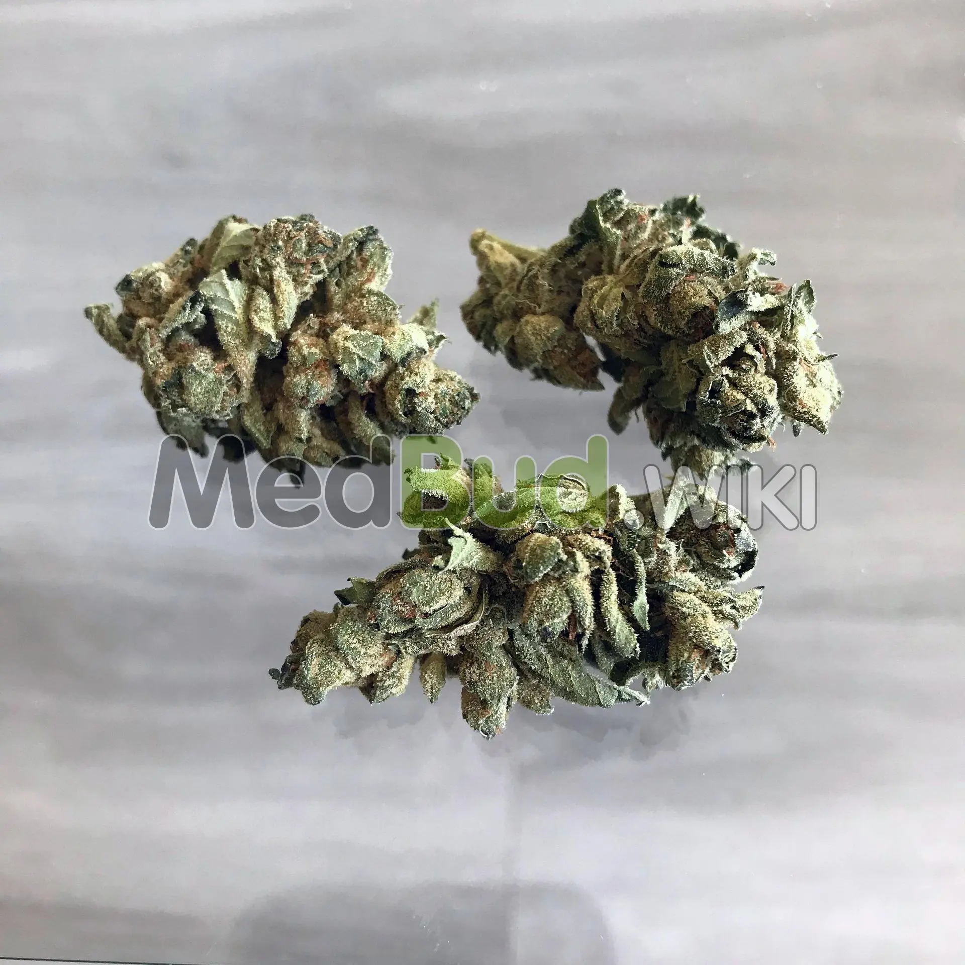 Mango product photo