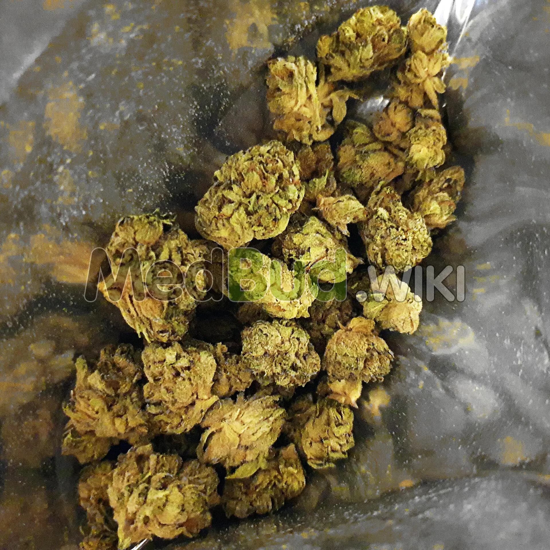 Purps product photo