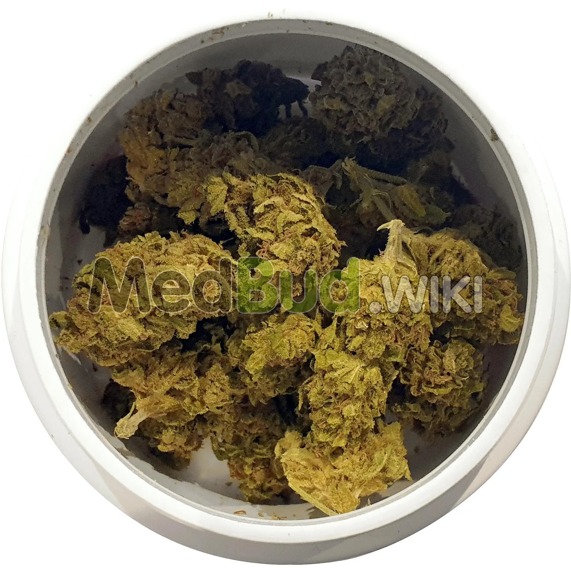 Sorbet product photo