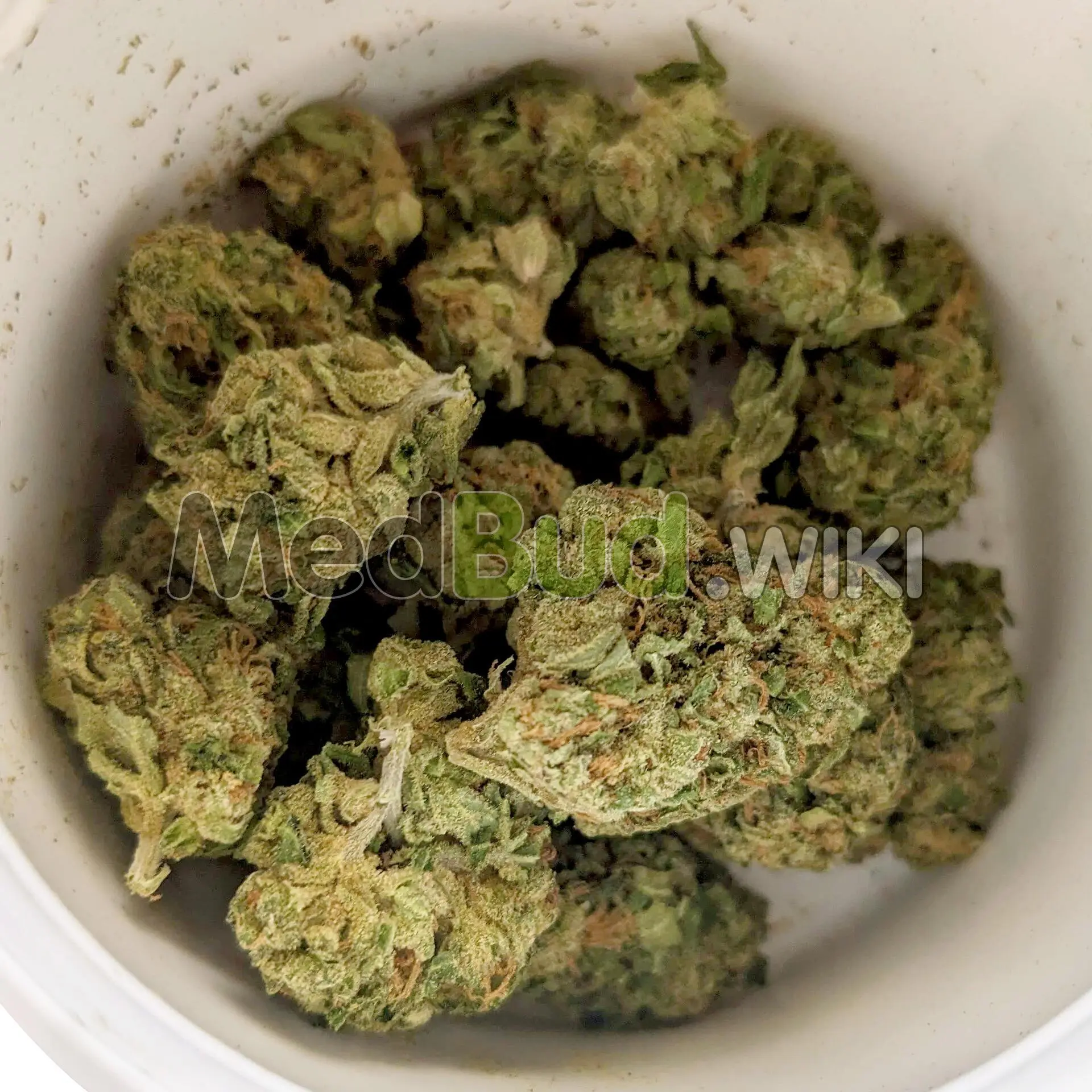 Tripoli product photo