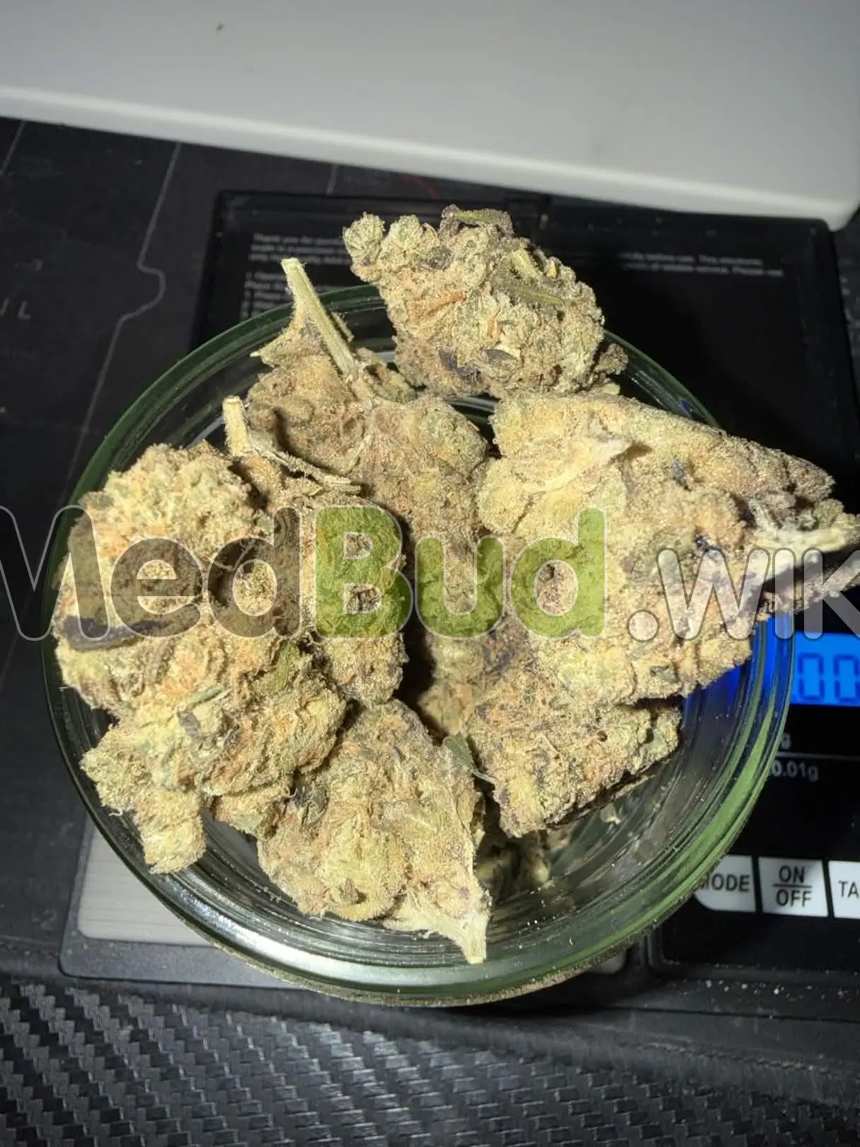 Vienna product photo