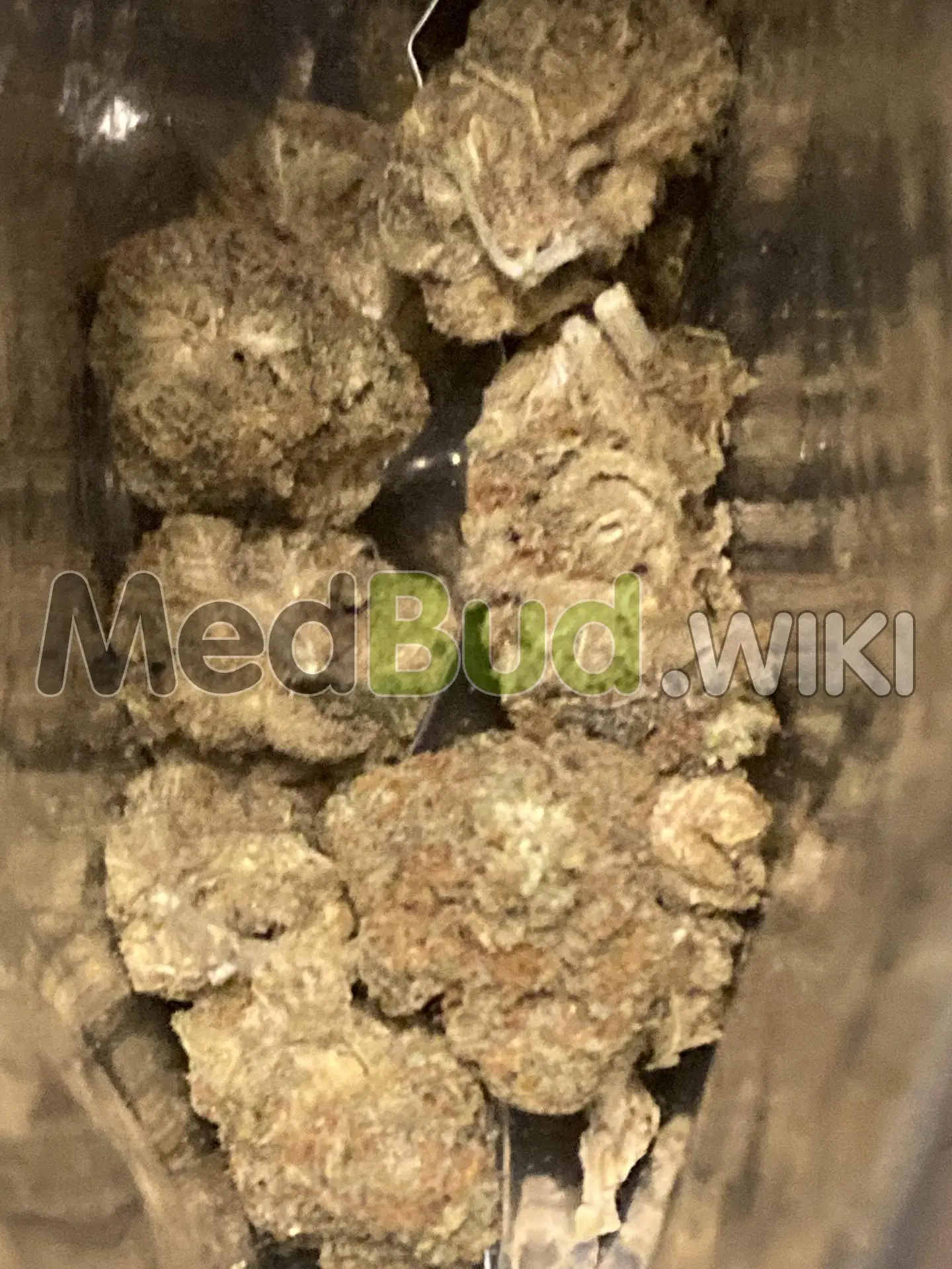 Animal Face product photo