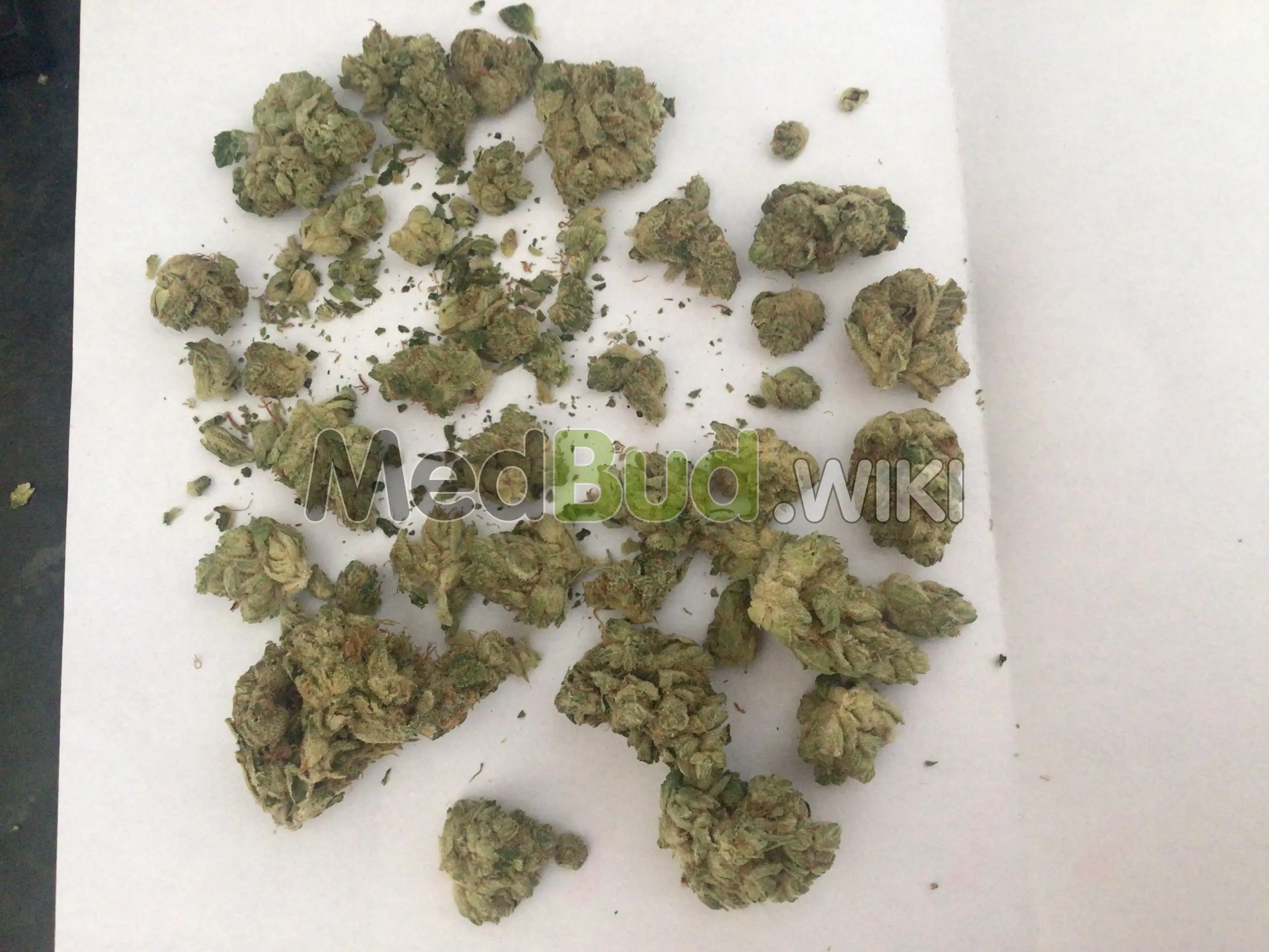 Apples & Gas product photo