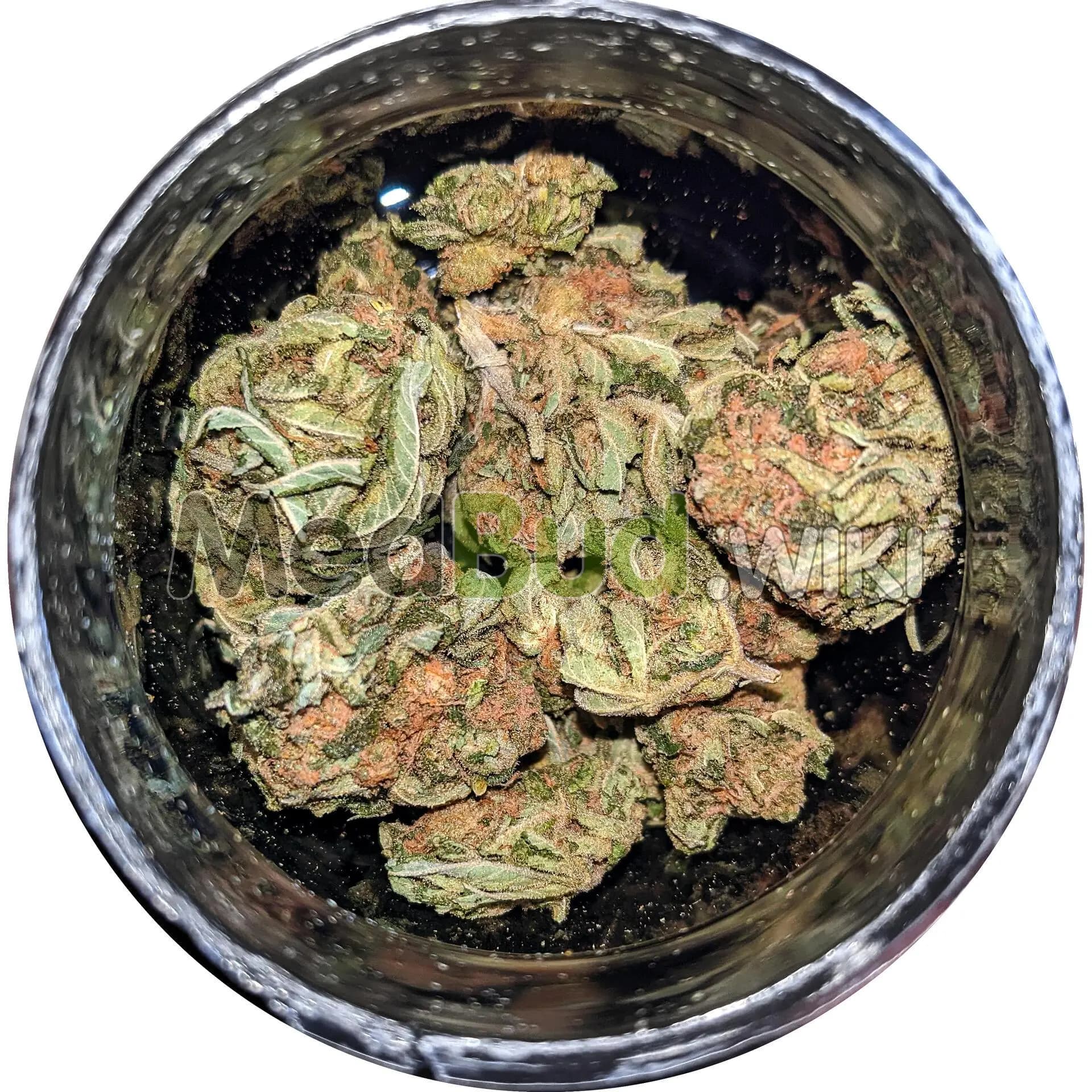 Balanced Kush product photo