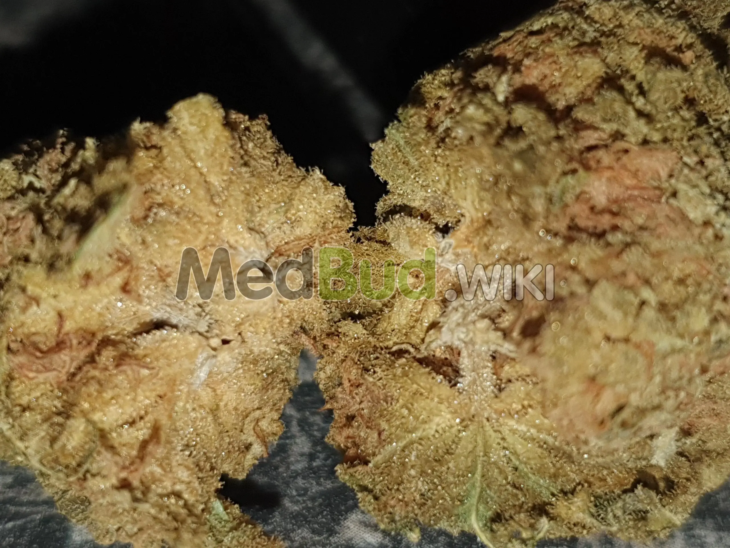 Black Russian product photo