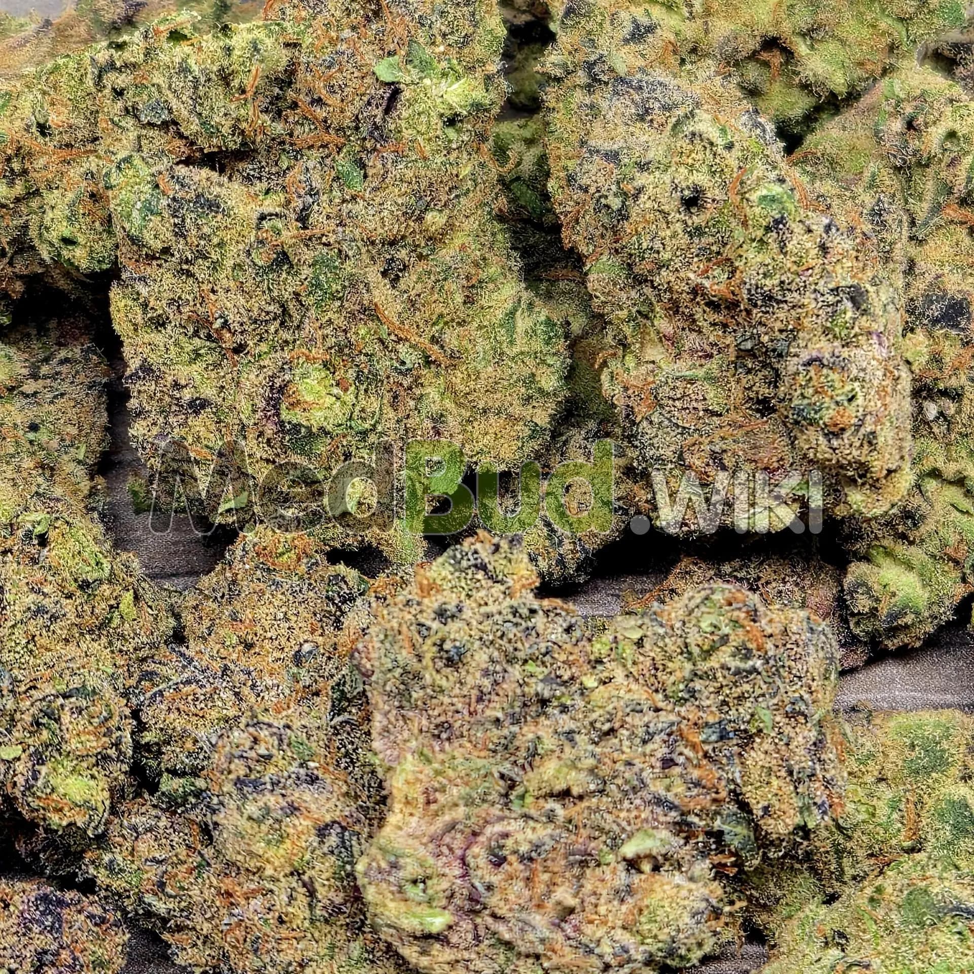 Blood Orange Breeze product photo
