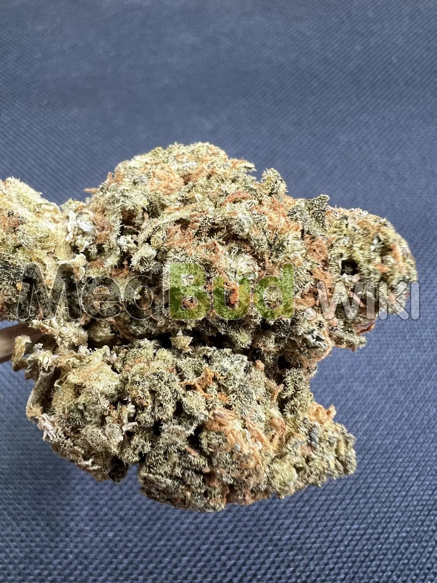 Blue Dream Balanced product photo