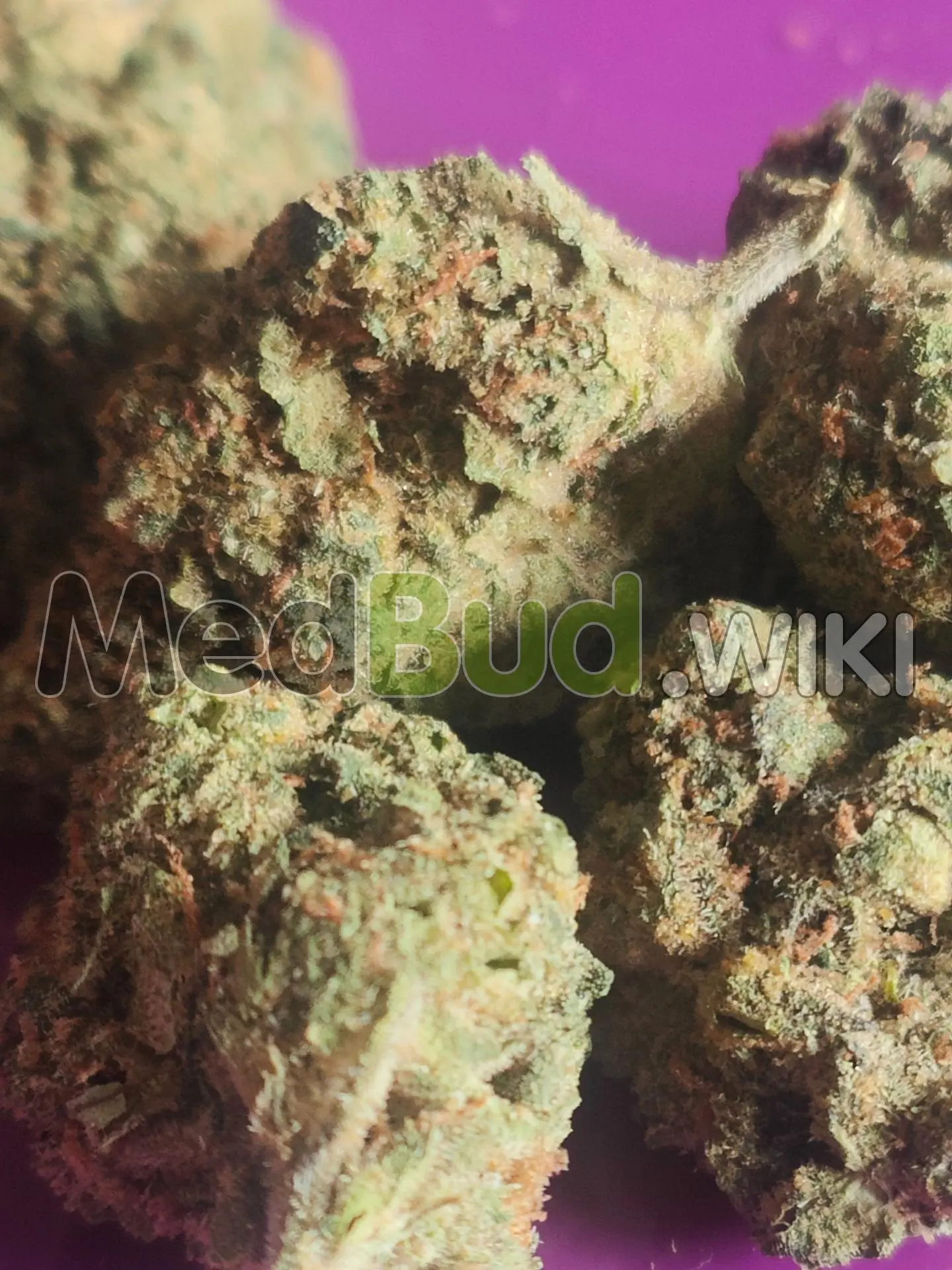 Blue Thai product photo