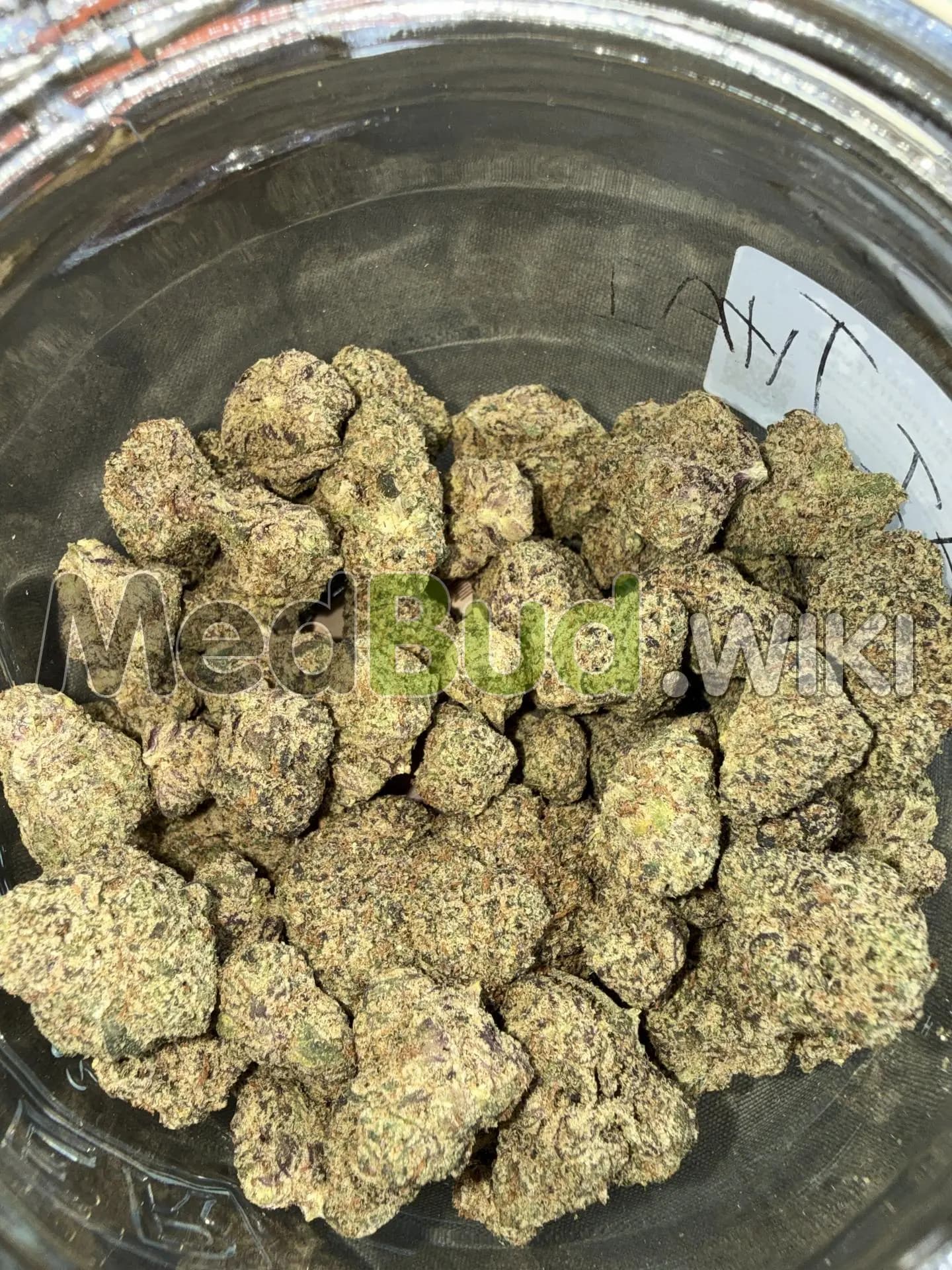 Blueberry Fuego product photo