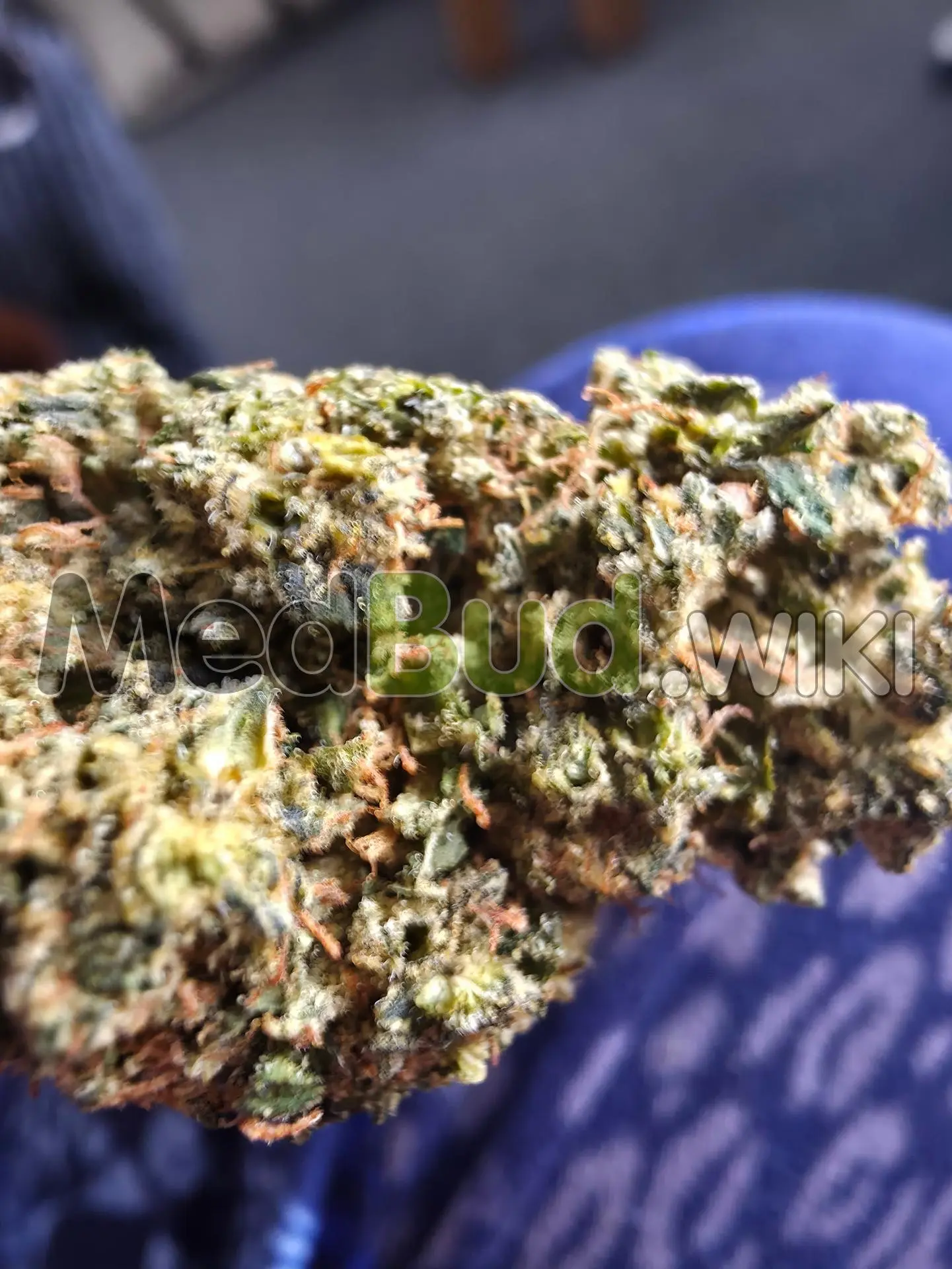 Congo Creek Haze product photo