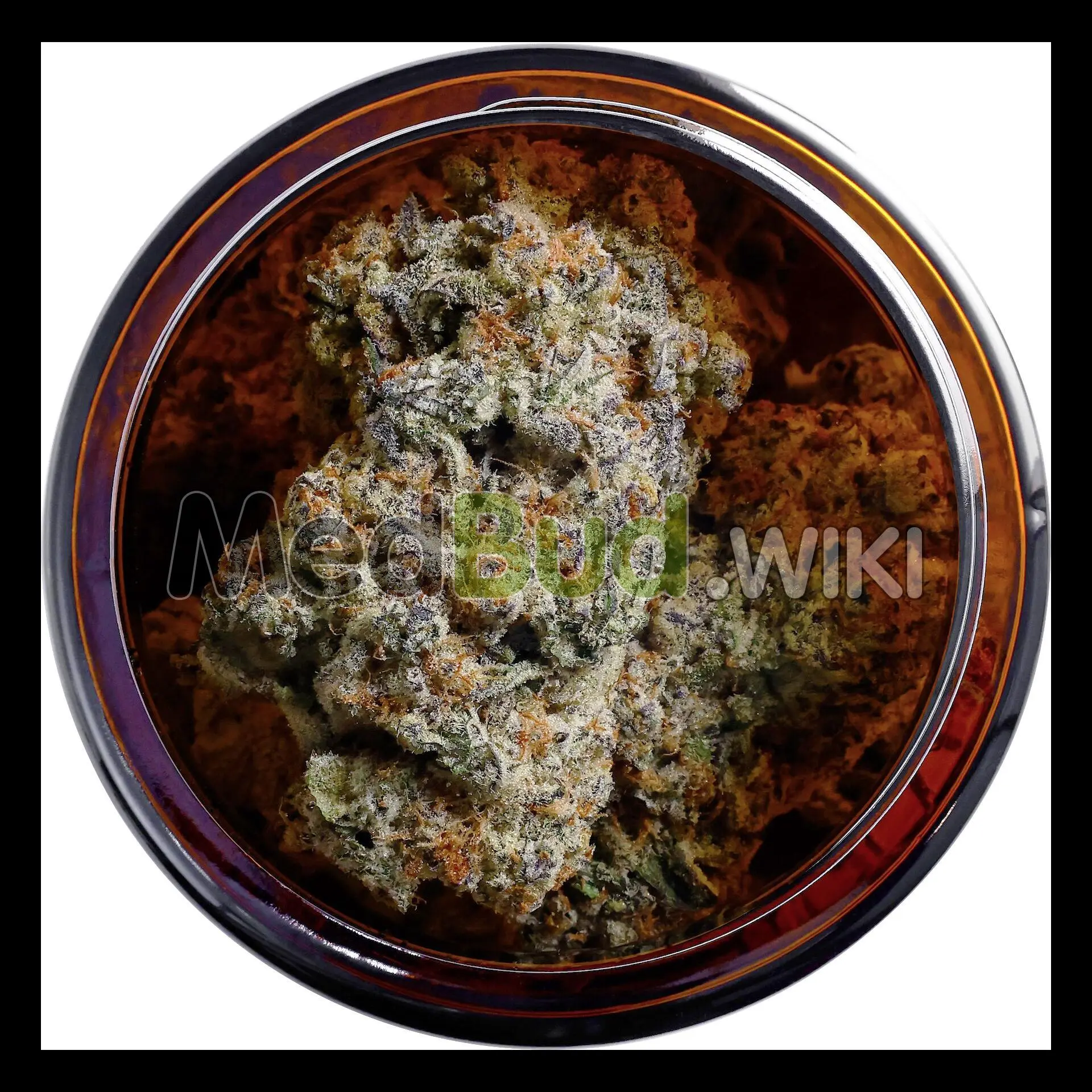 Dark Sky Paradise product photo