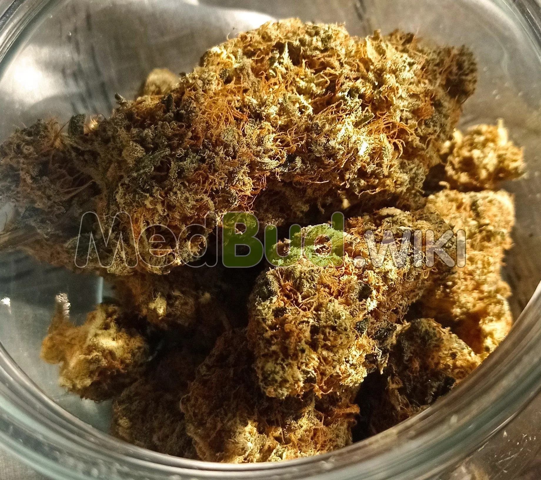 Electric Lemon product photo