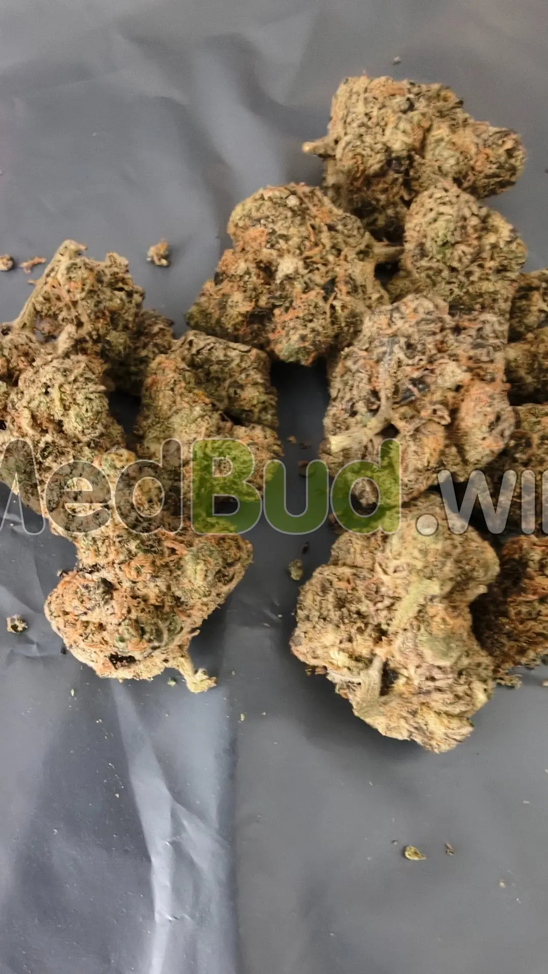 Frosted Cookies product photo