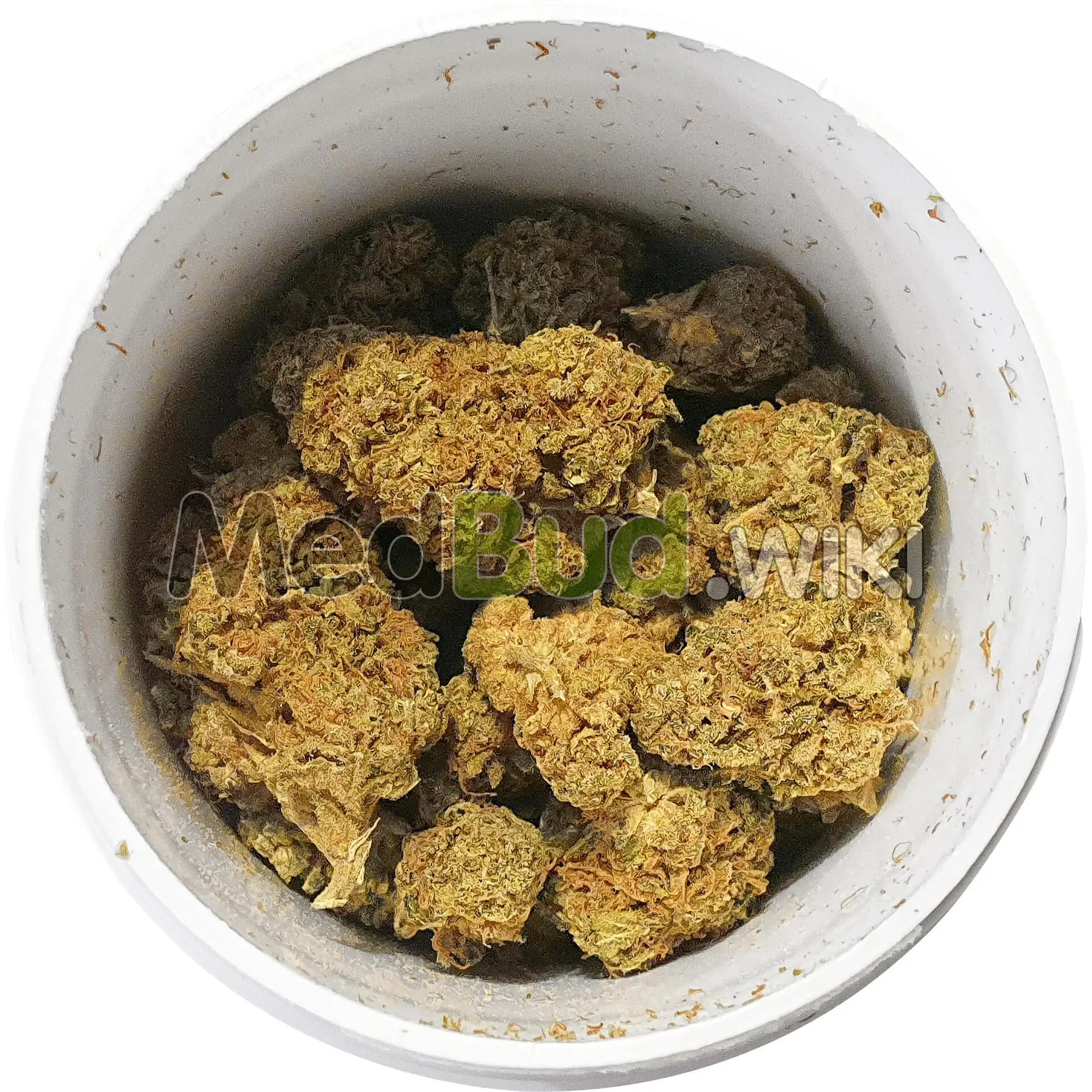 Gelato #44 product photo