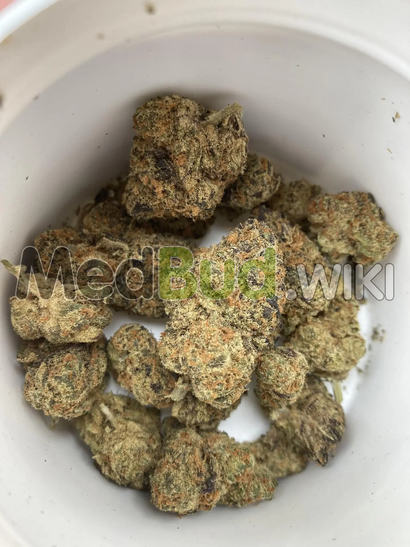 Gelonade product photo
