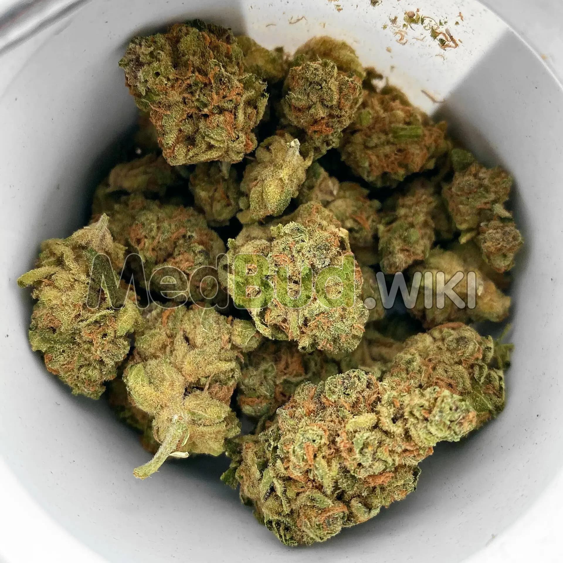 Girl Scout Cookies product photo
