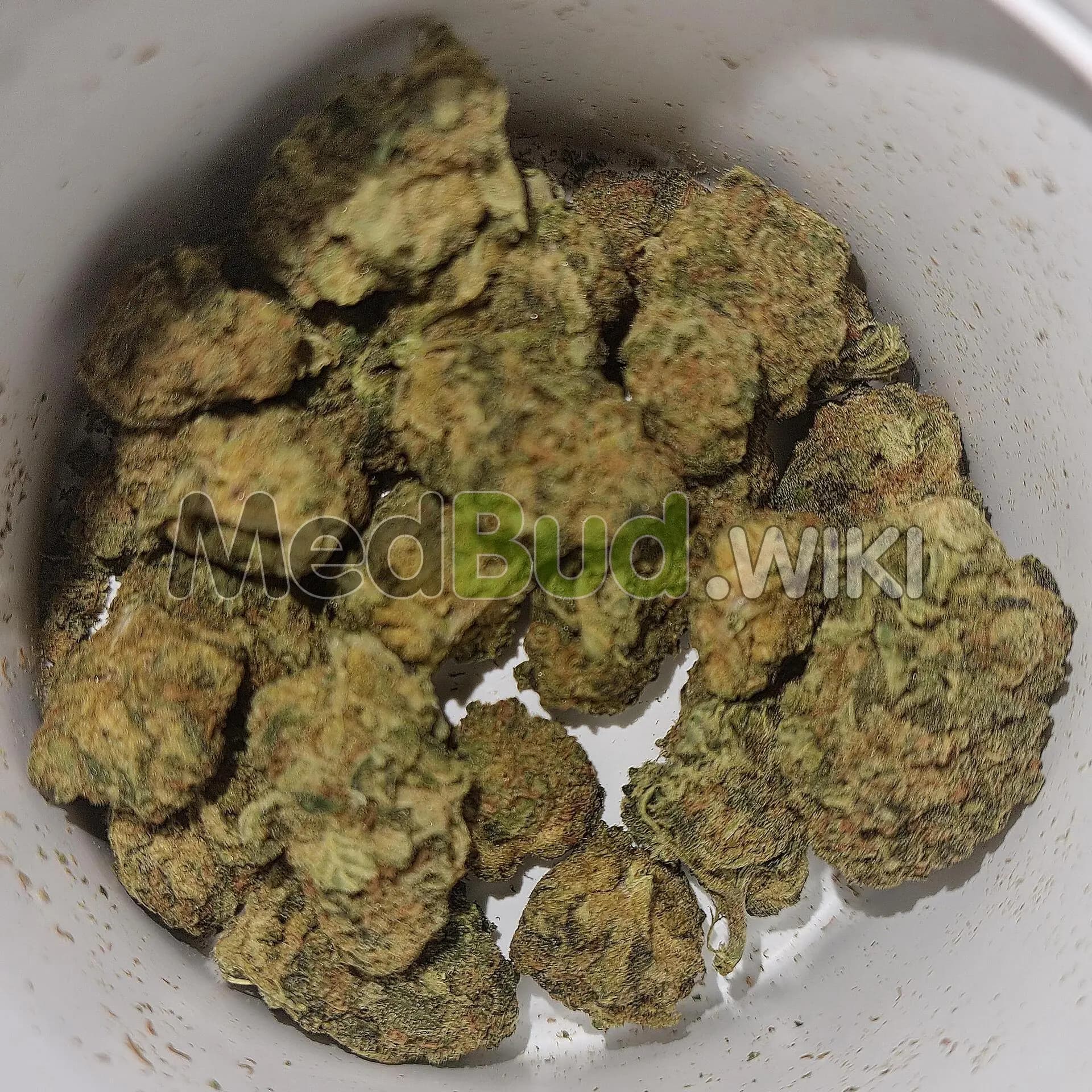 God Bud CBD product photo