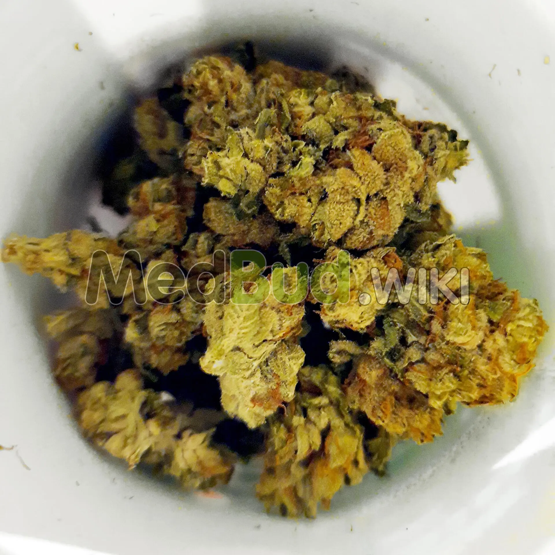 Gold Butter M.A.C. product photo