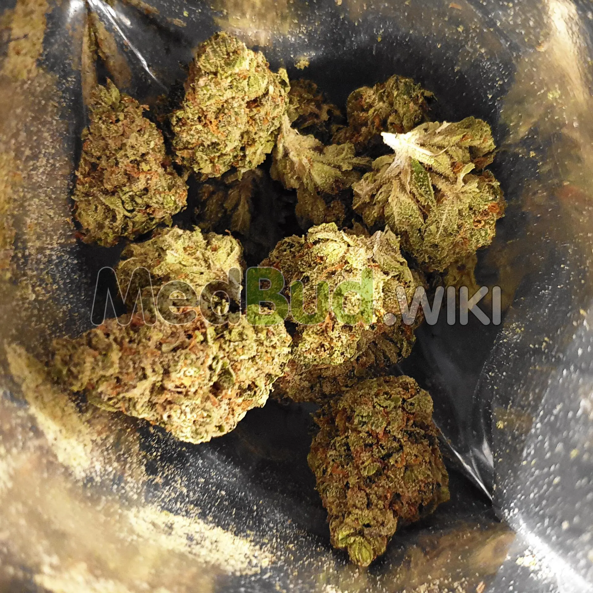 Green Knight product photo