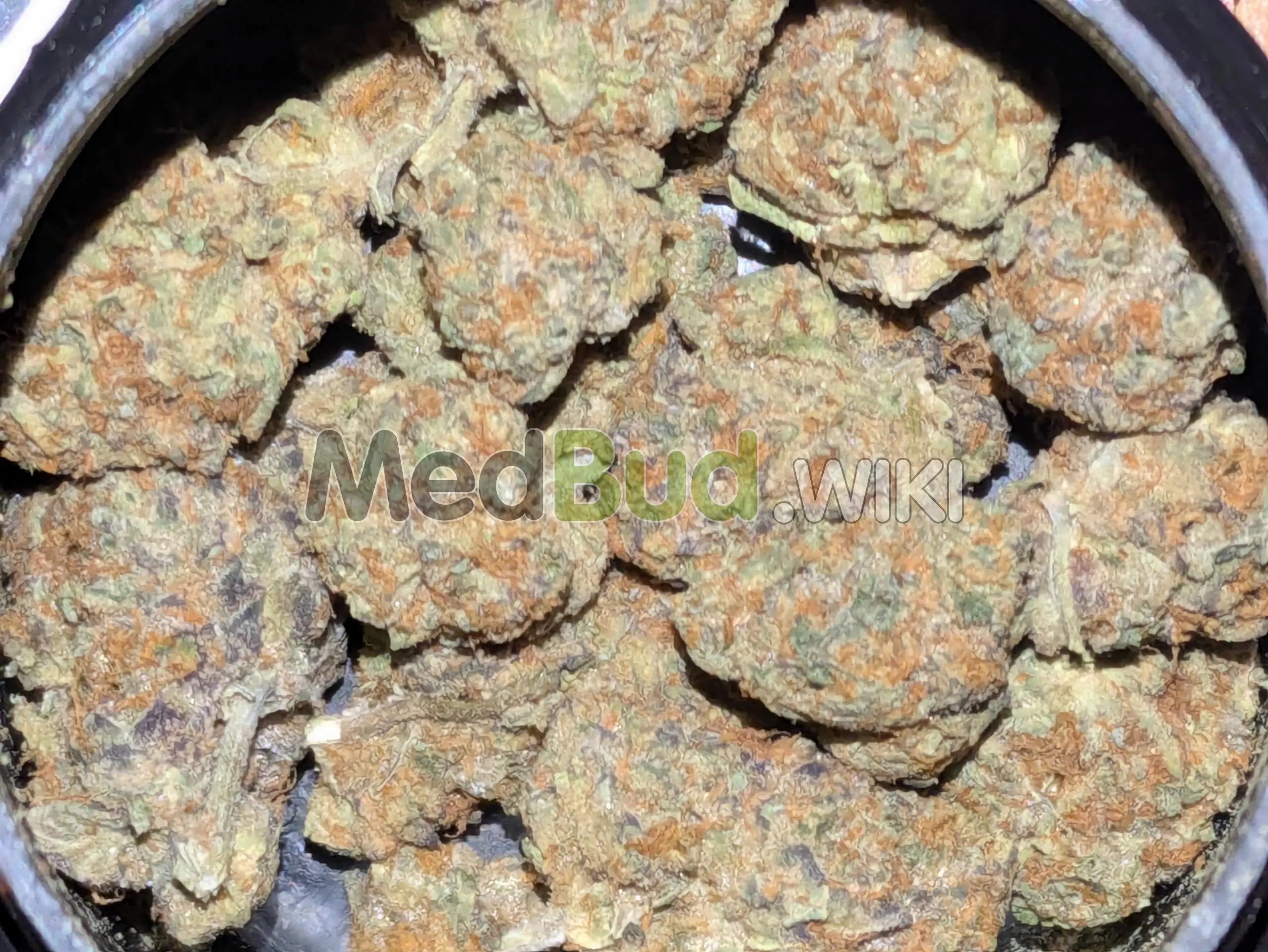 High Society product photo