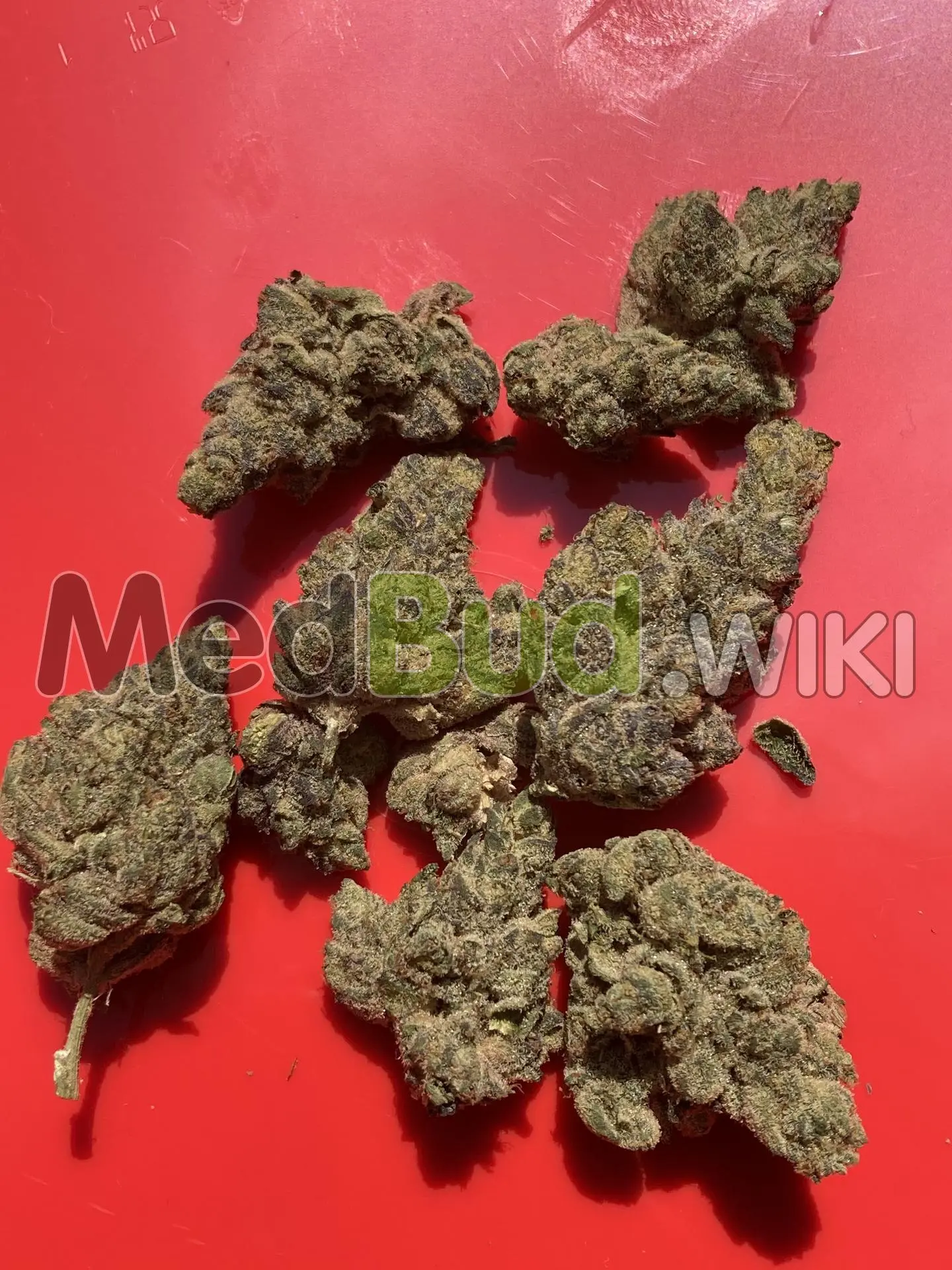 Jack Frosted product photo