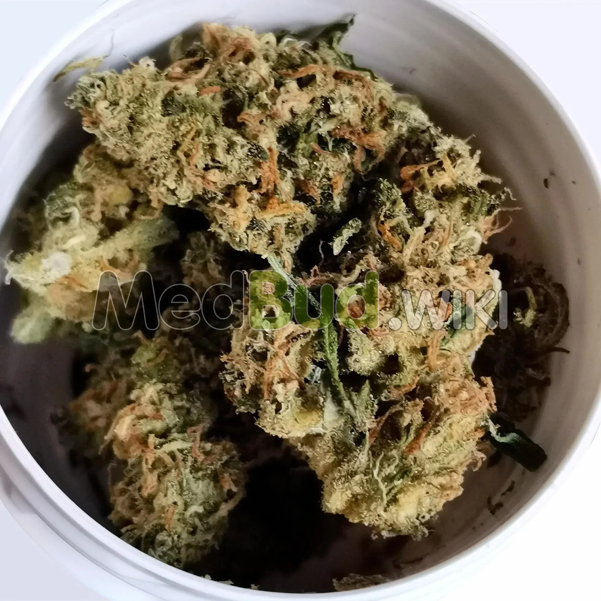 Jack Herer product photo