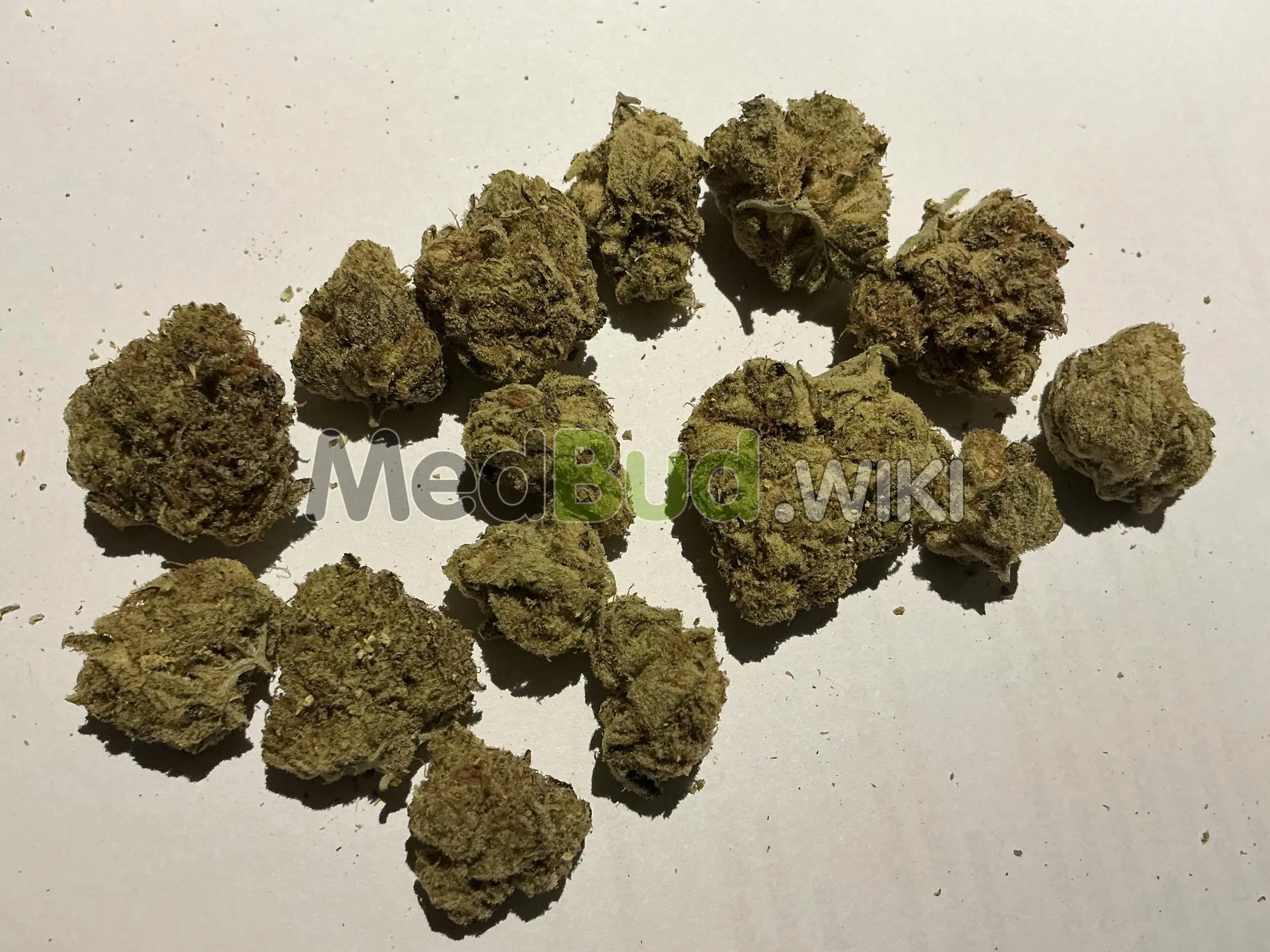 Jelly Rancher product photo