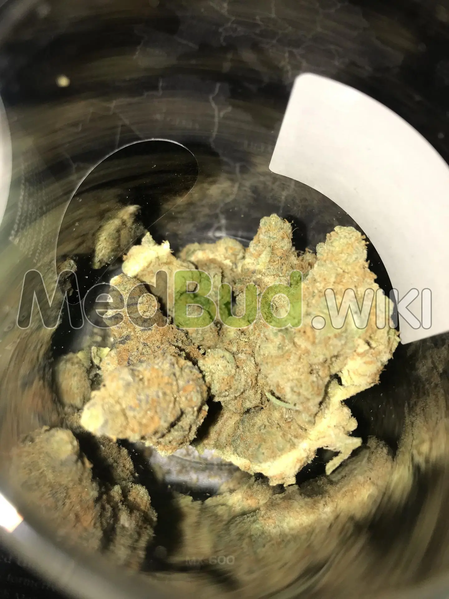 Jet Pilot product photo