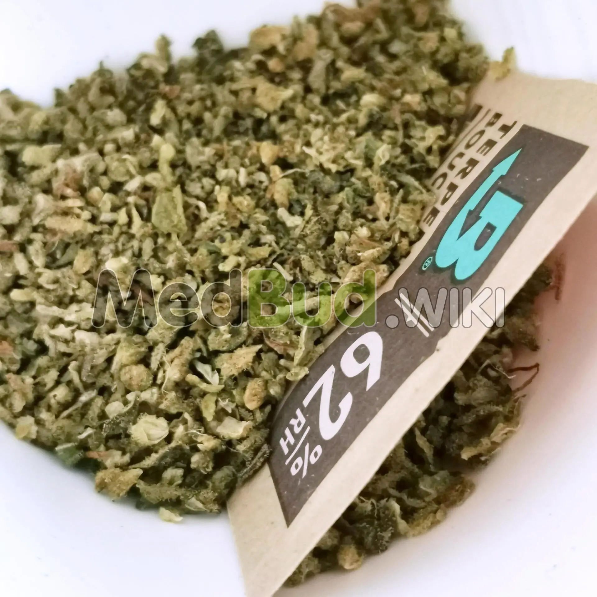 L.A. Amnesia product photo