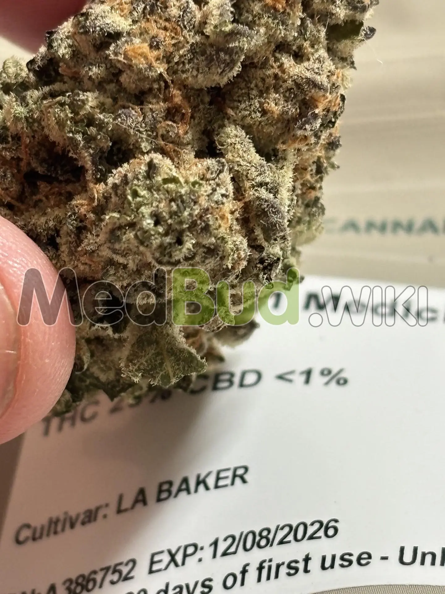 L.A. Baker product photo