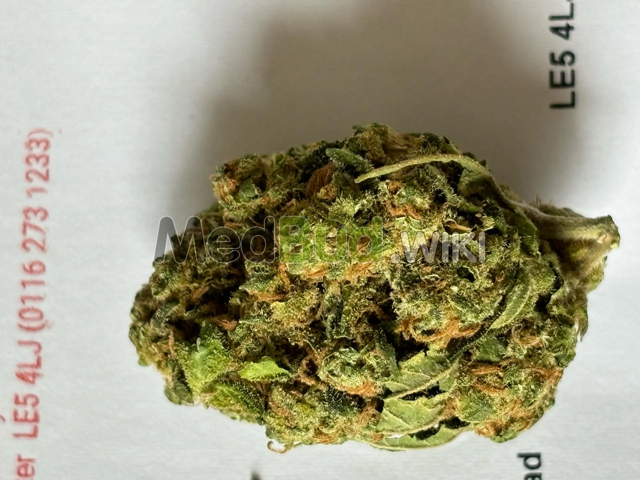 Lemon Skunk product photo