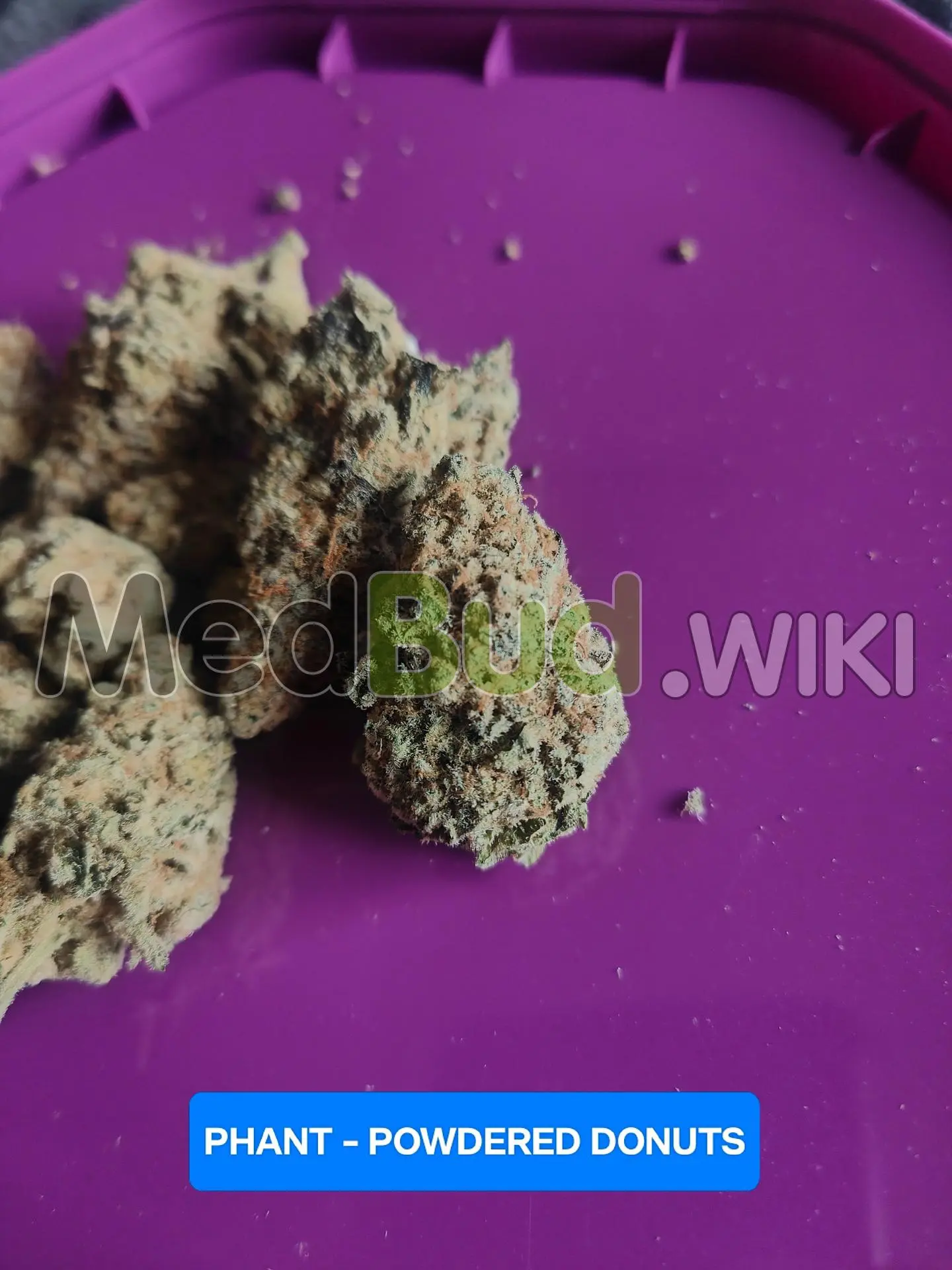 MAC-1 x Powdered Donuts product photo