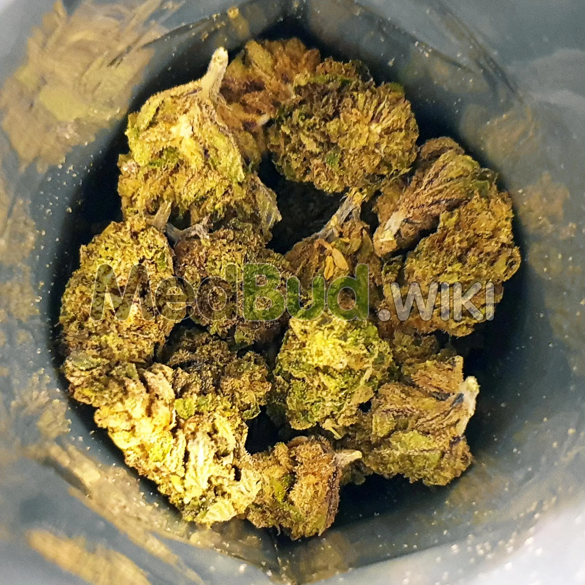 Maluti CBD product photo