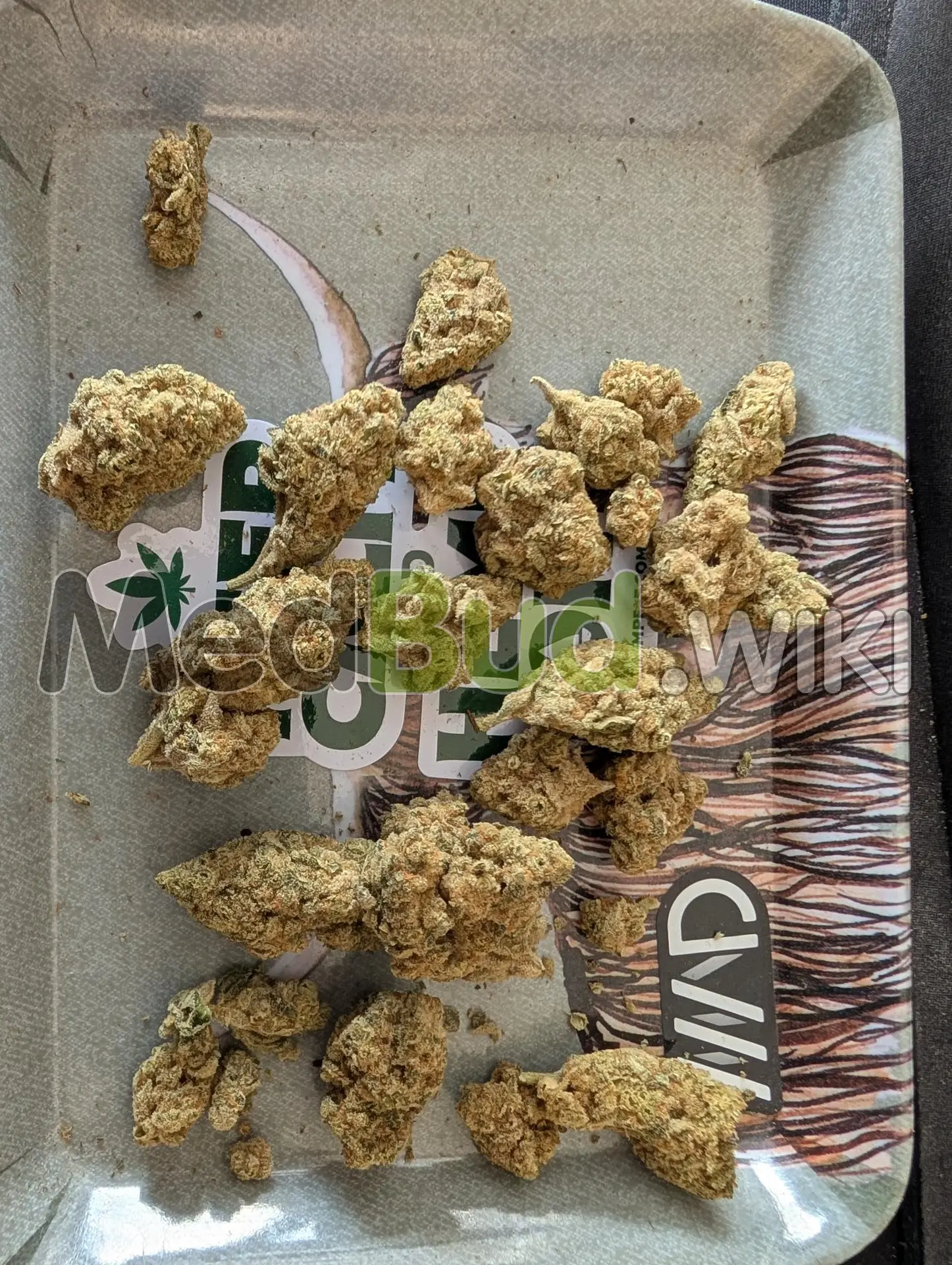 Mango Grove product photo