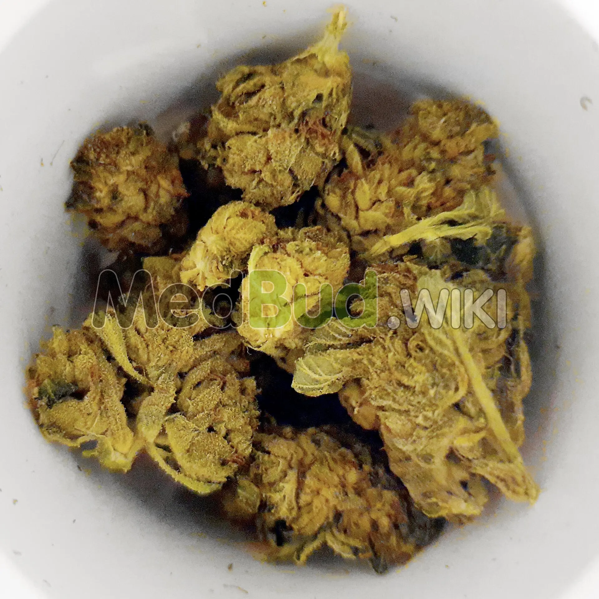 Maple Kush product photo