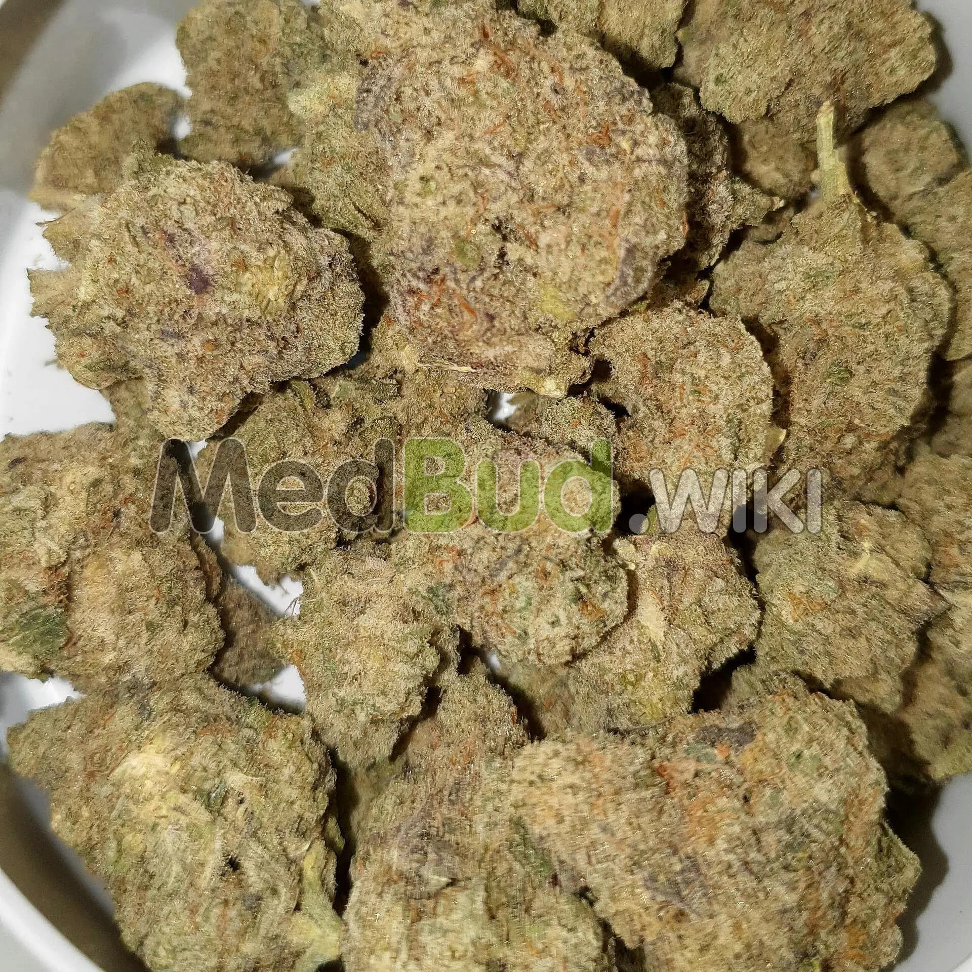 Miracle Alien Cookies product photo