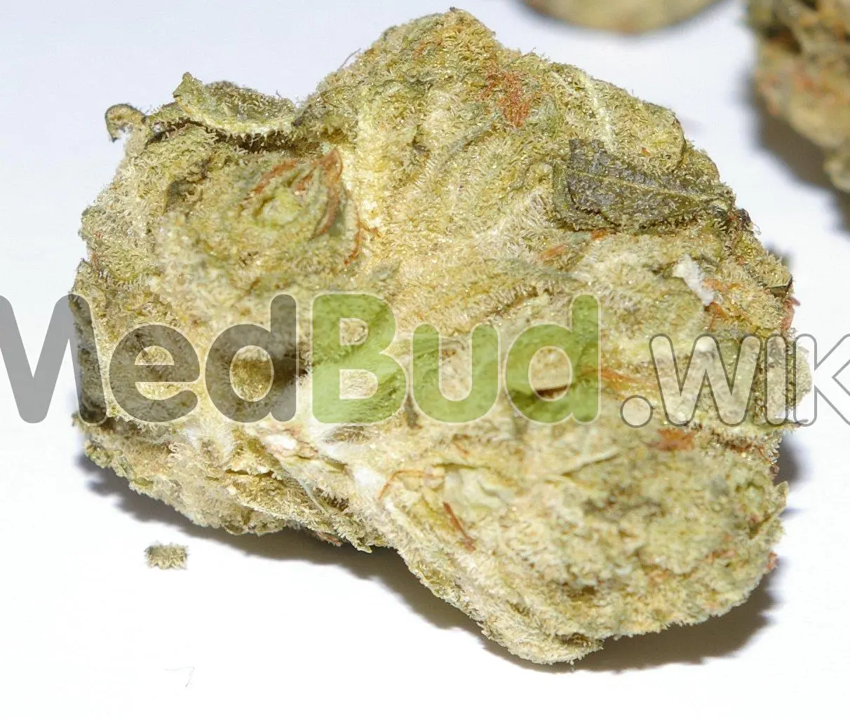 Motorbreath product photo