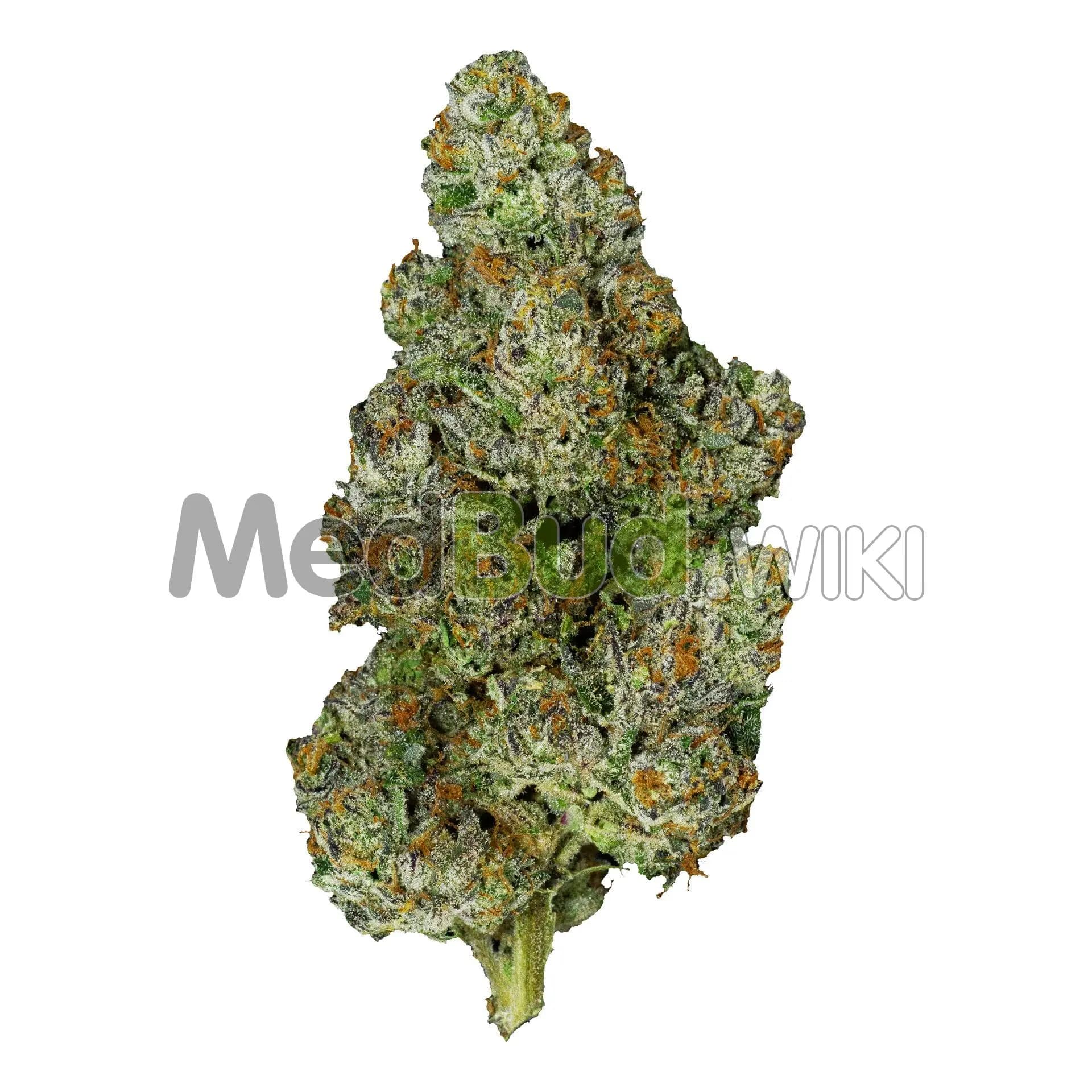 Mount Fuji product photo
