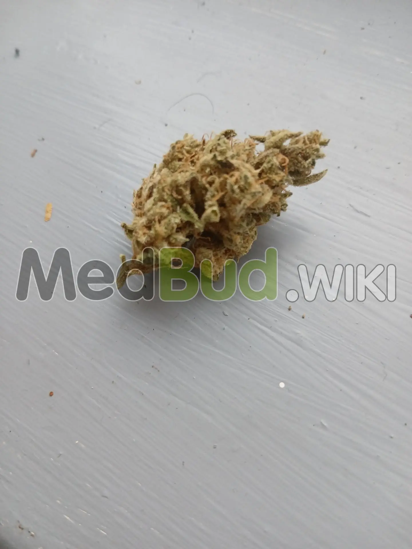 N.Y.C. Diesel product photo