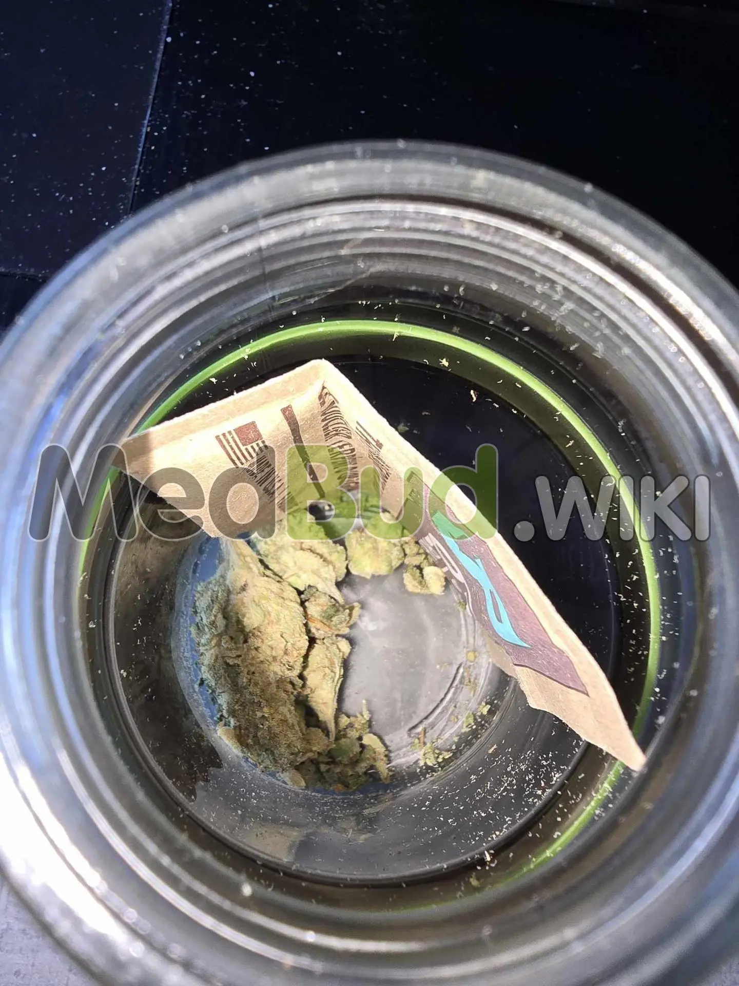 Papaya Terpz product photo