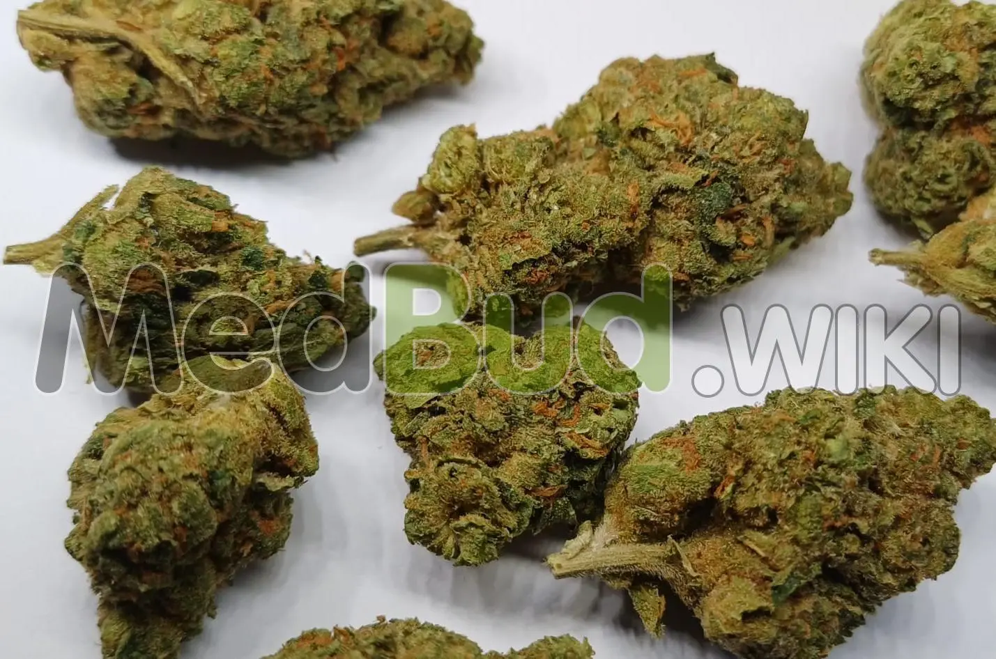 Permanent Fumez product photo