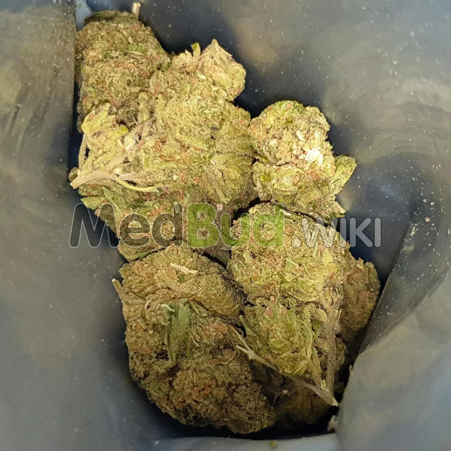 Peyote Critical product photo