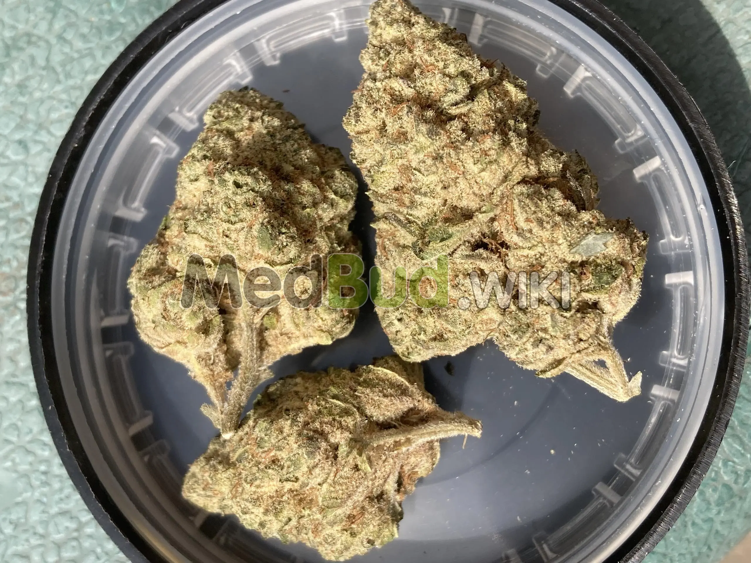 Pineapple God product photo