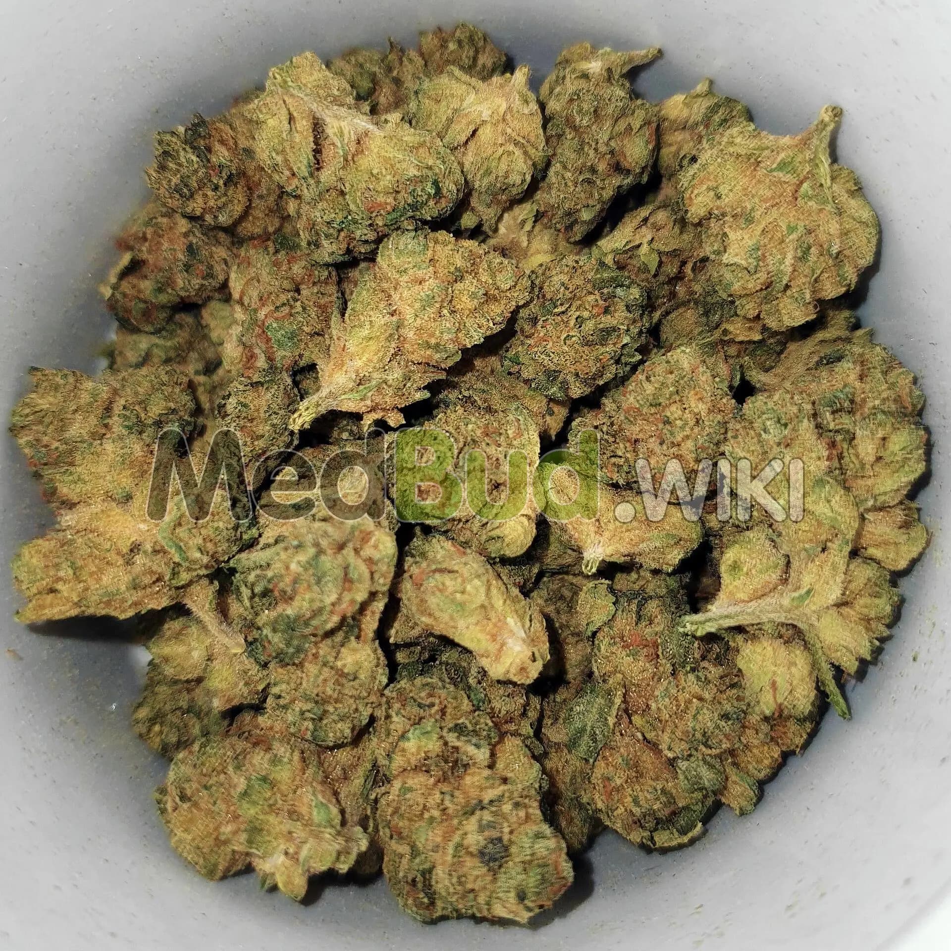 Powdered Donuts product photo