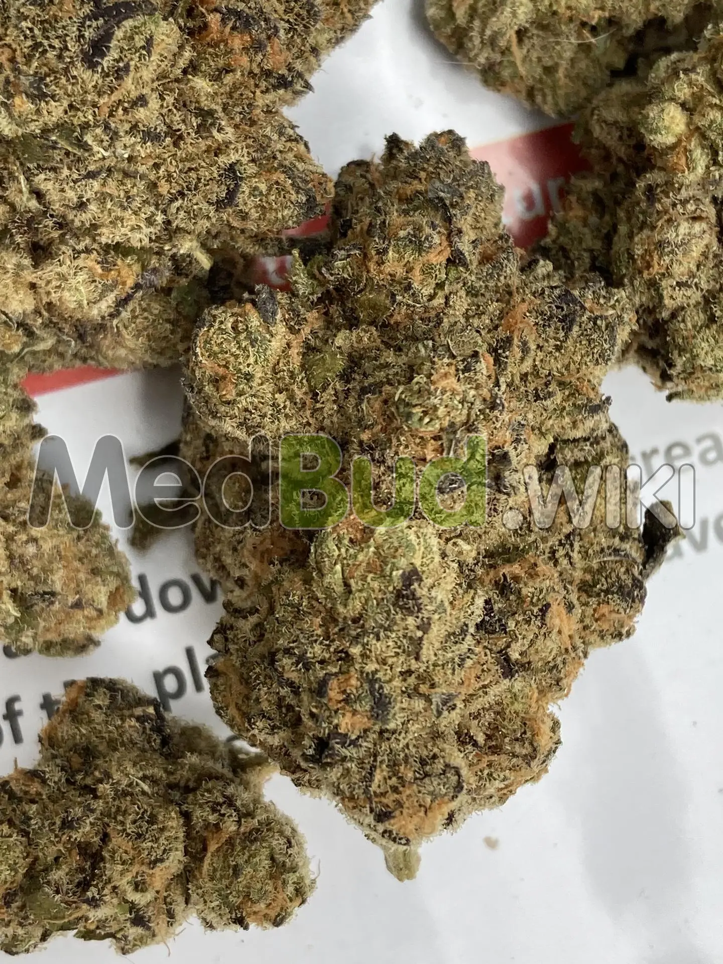 Purple Milk product photo