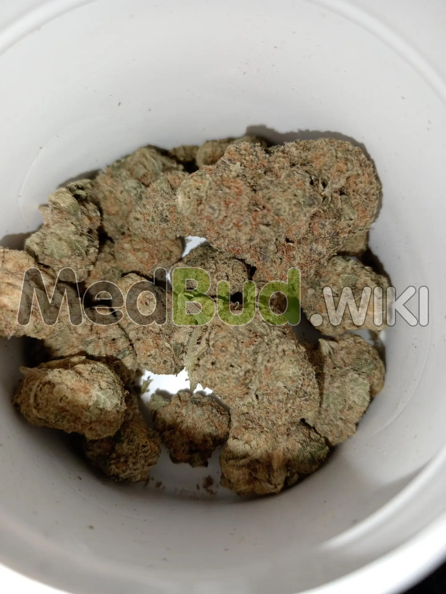 Purple Punch product photo