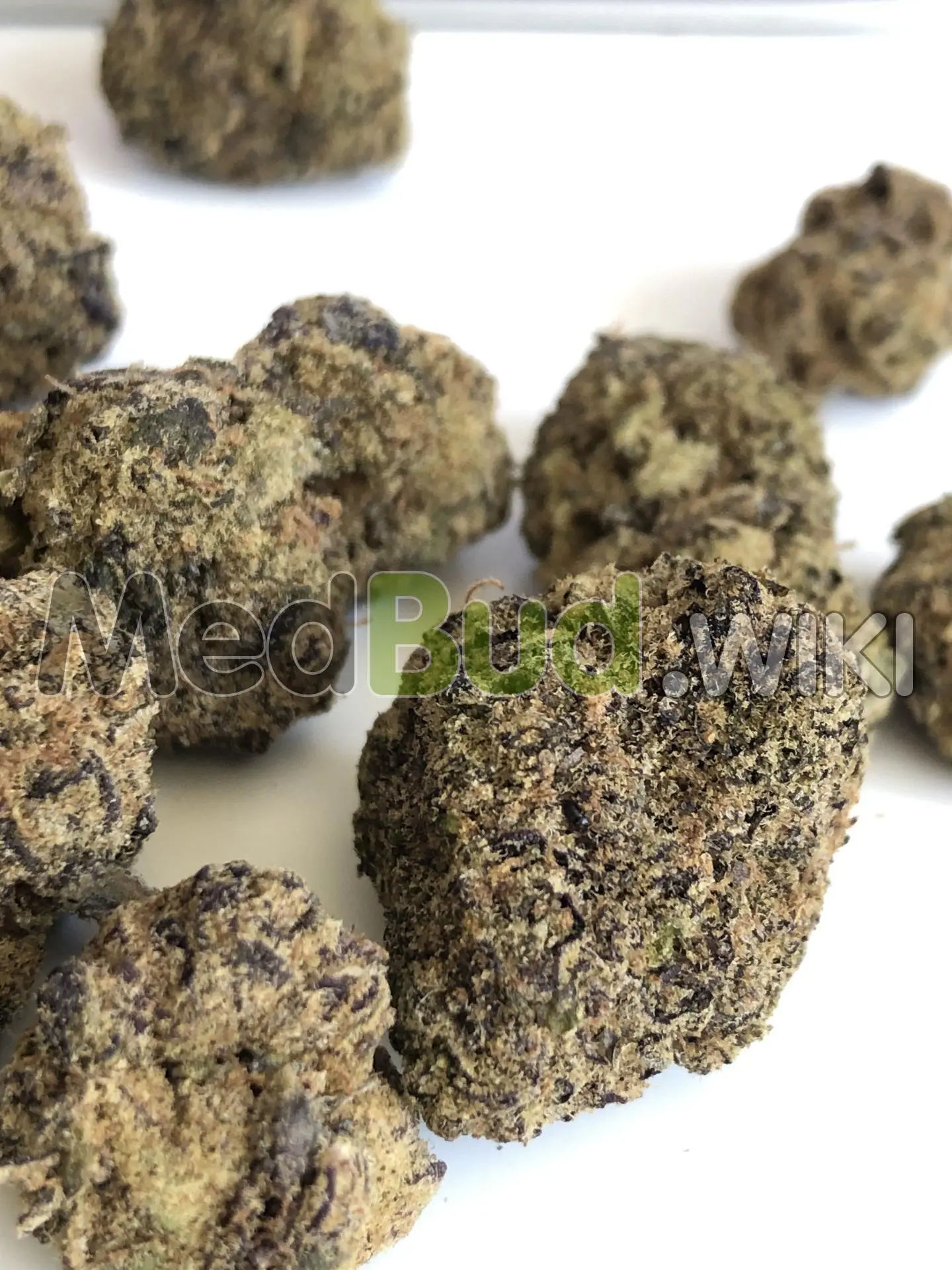 Purple Push-Pop product photo