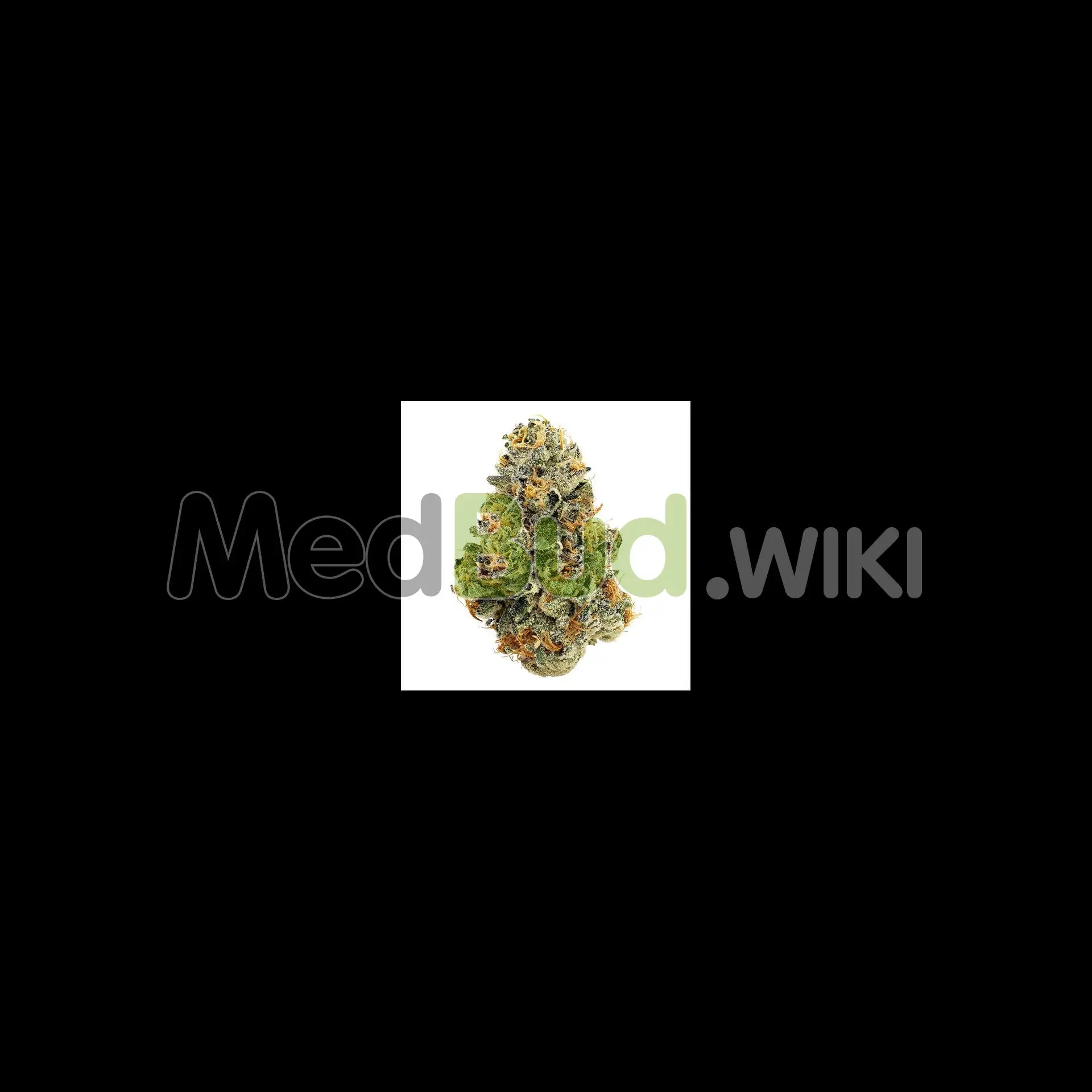 Rainbow Guava product photo